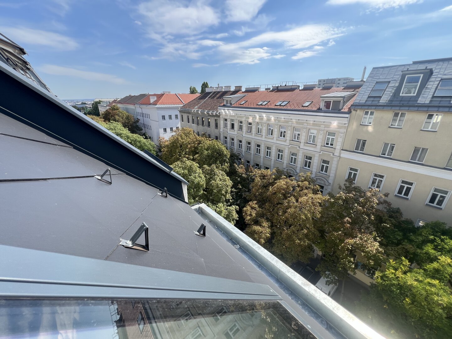 'Über den Baumwipfeln'