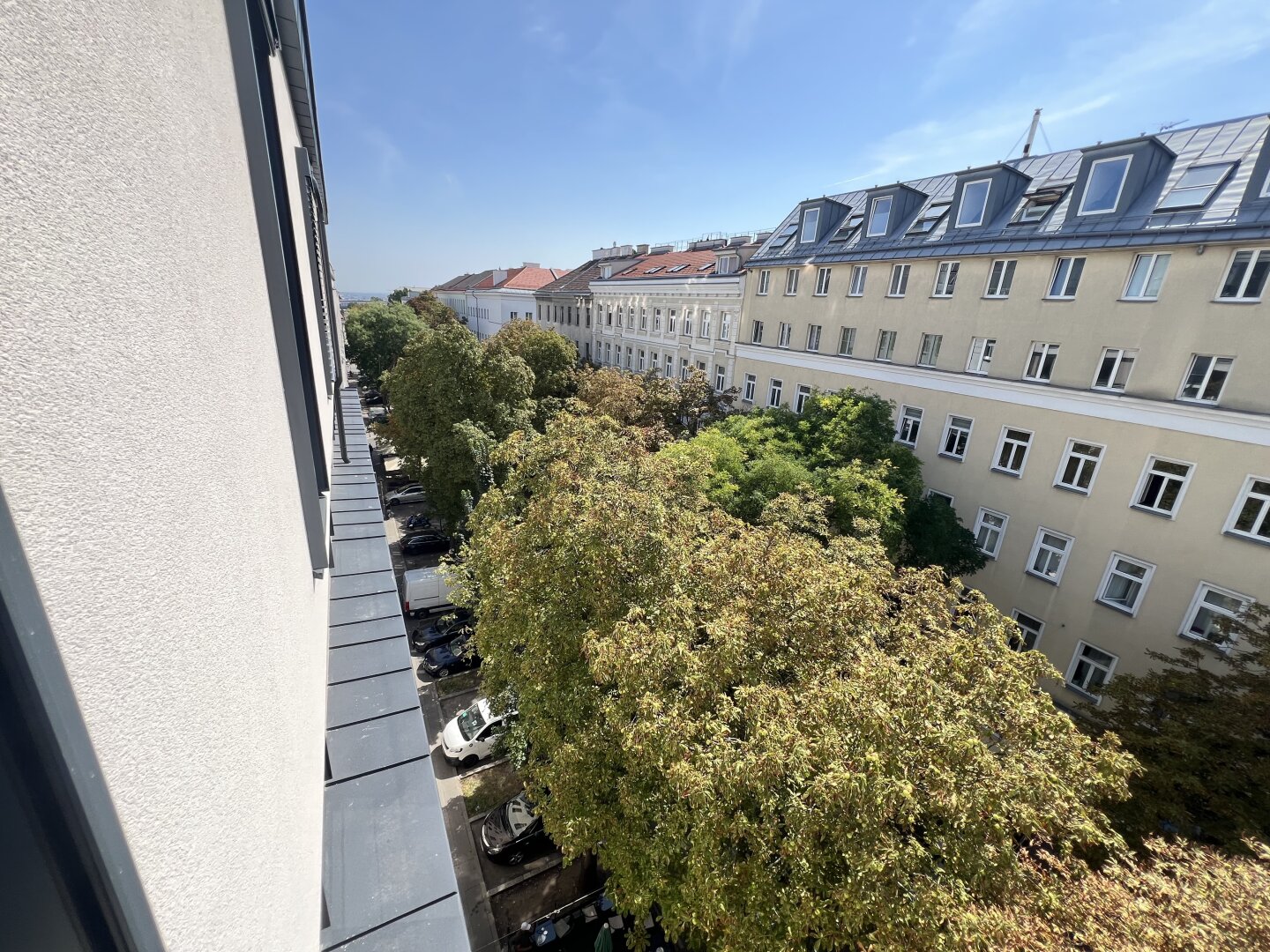 über den Kastanienbäumen
