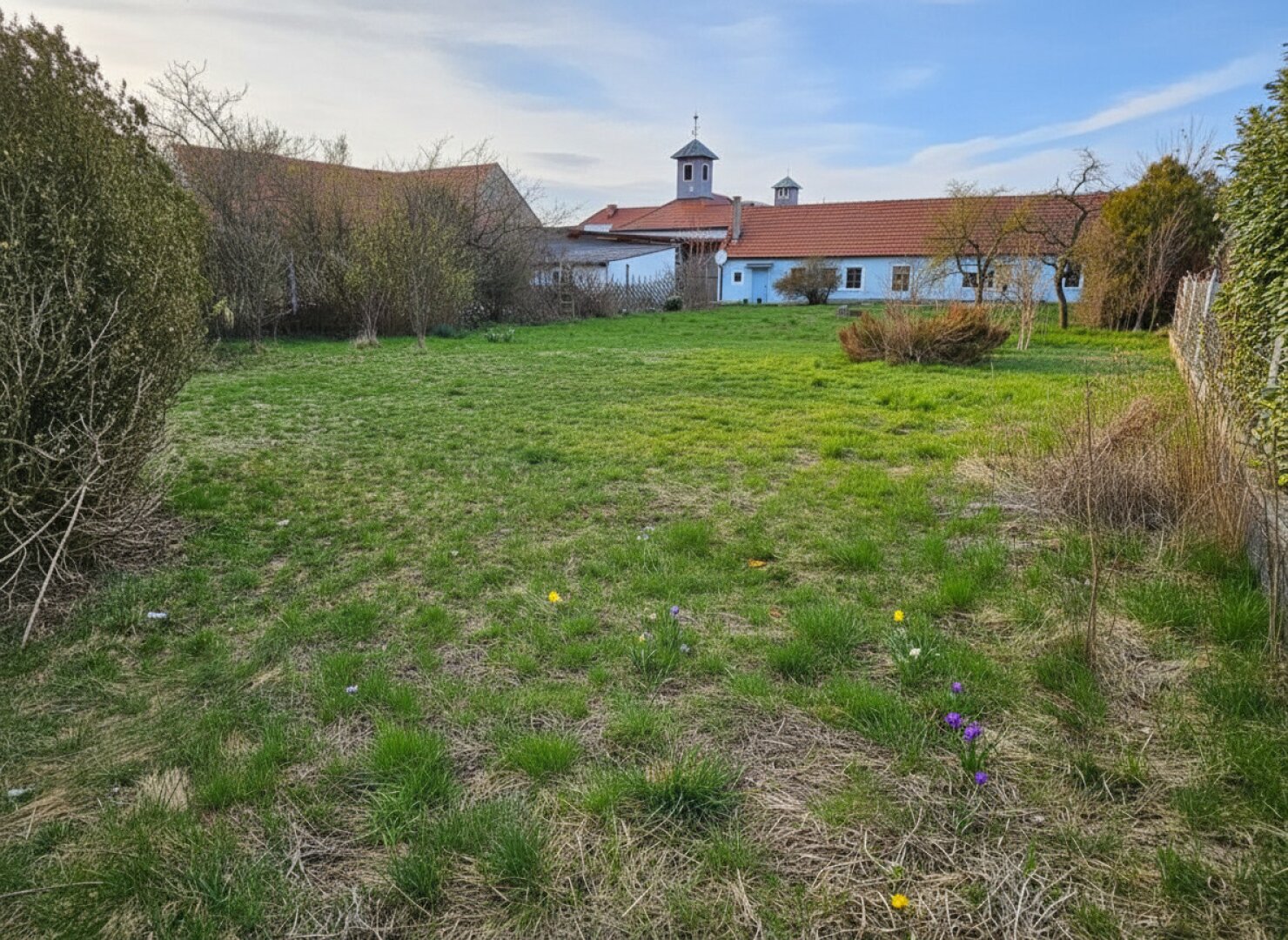 Garten und rückwärtige Ansicht