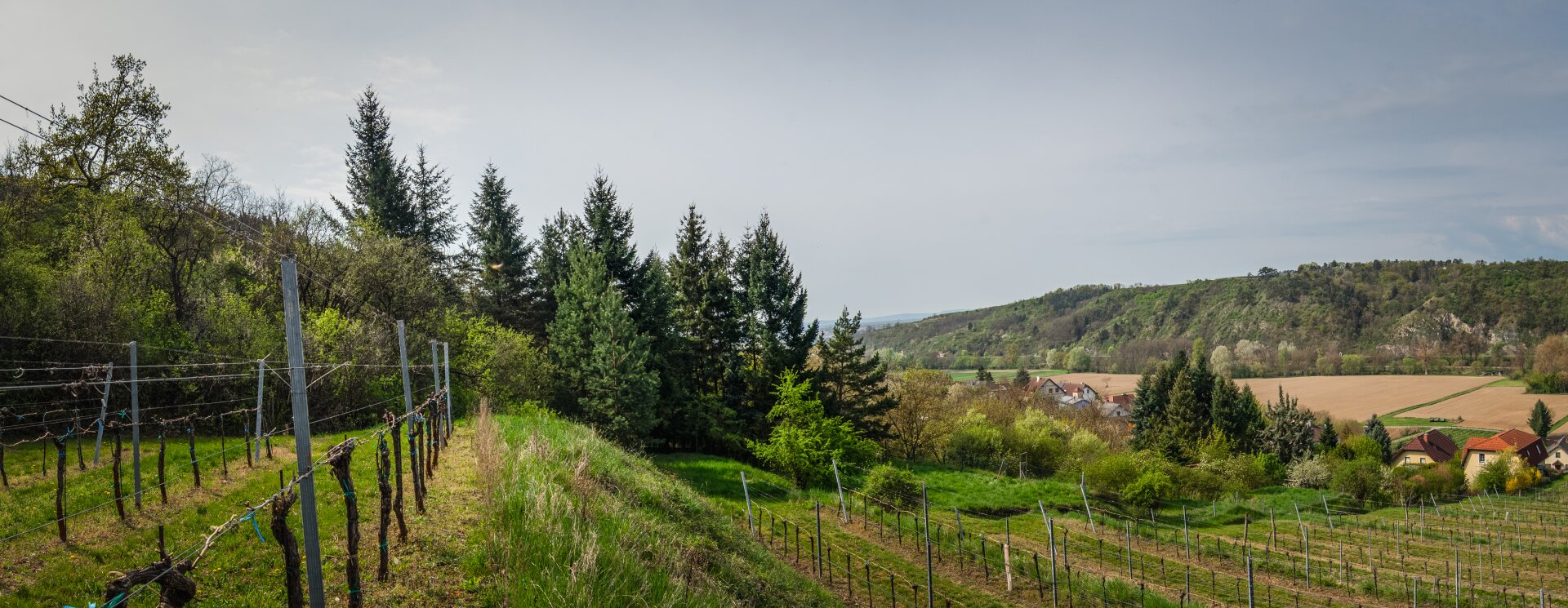 Aussicht vom Garten