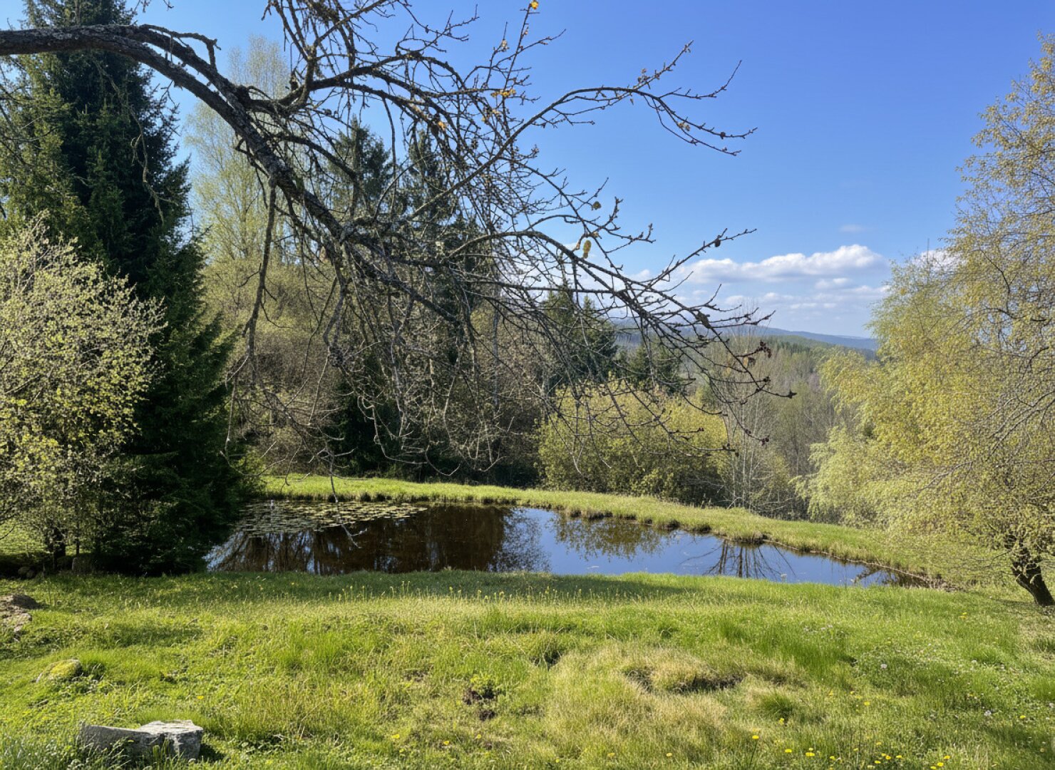 Eigener Teich