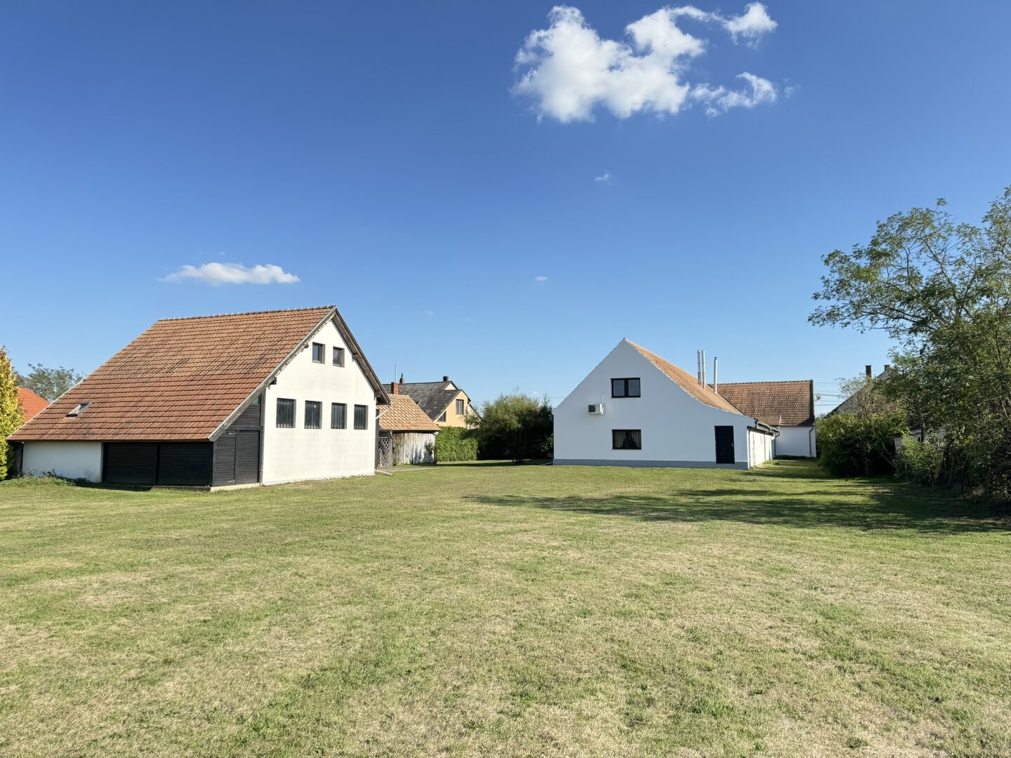 Einzigartiges repräsentatives Wohnhaus mit großer Bau- und landwirtschaftlicher Fläche