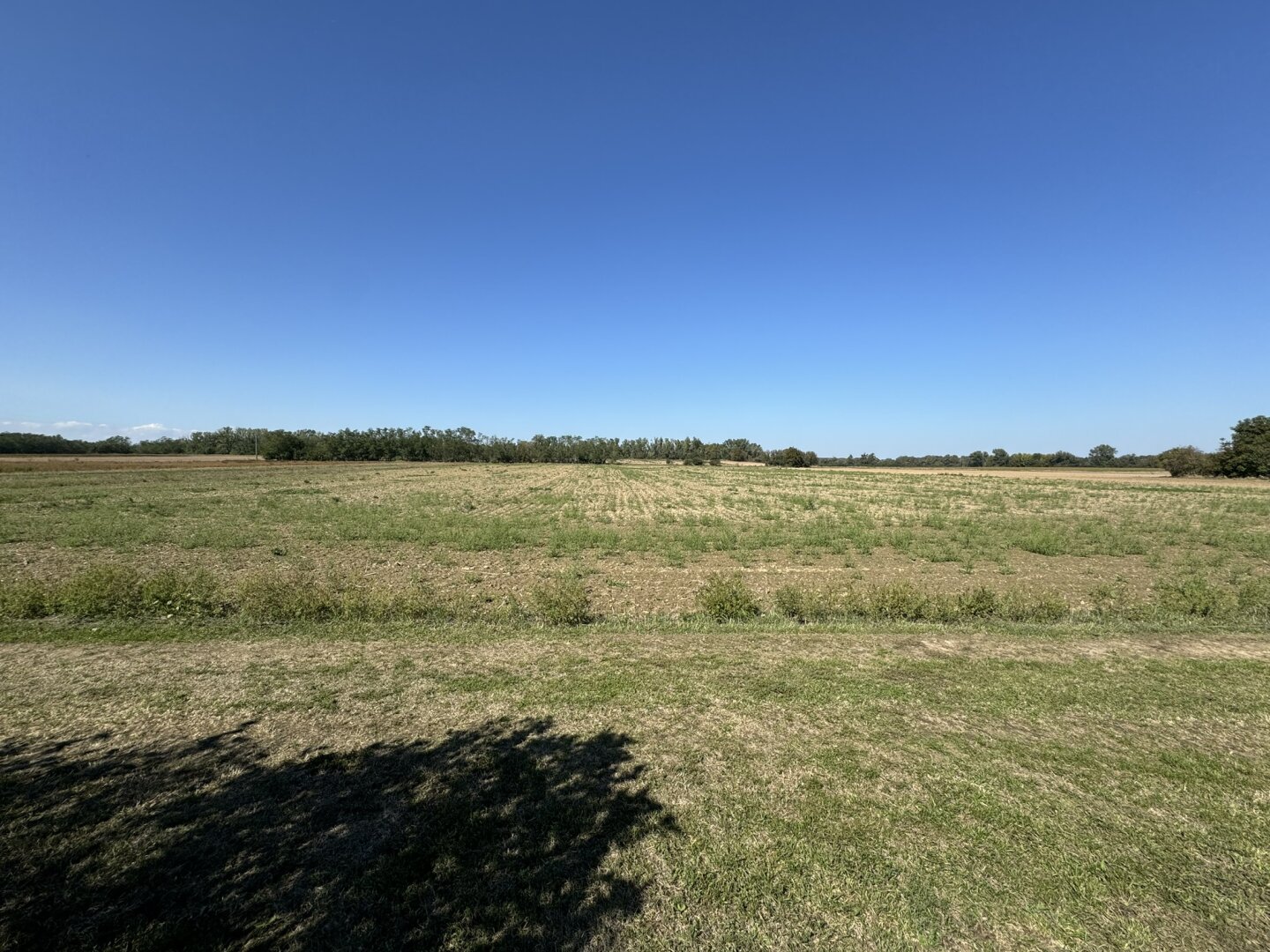Einzigartiges repräsentatives Wohnhaus mit großer Bau- und landwirtschaftlicher Fläche