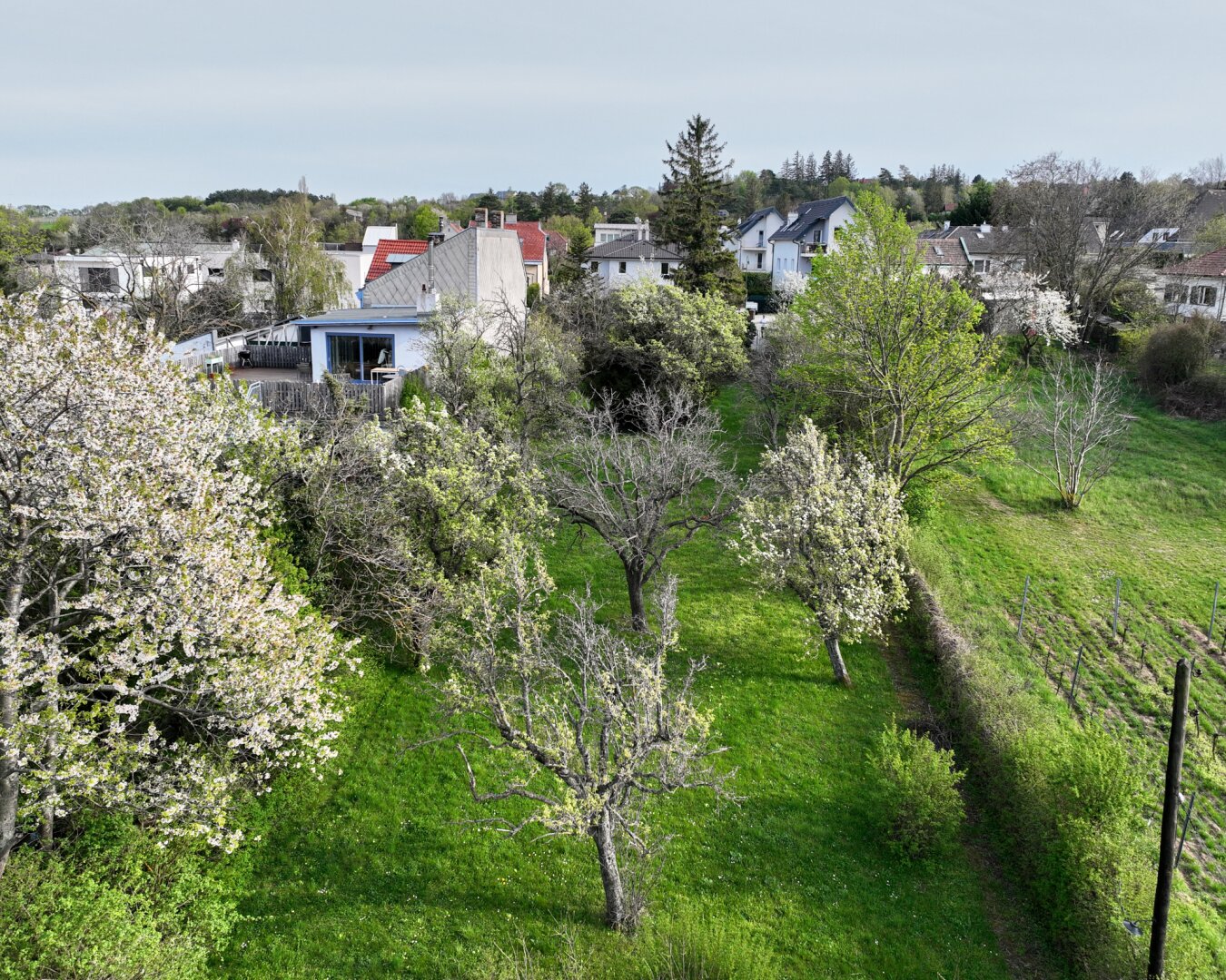 TRAUMHAFTES GRUNDSTÜCK MIT HANGLAGE UND BLICK AUF DIE WEINBERGE