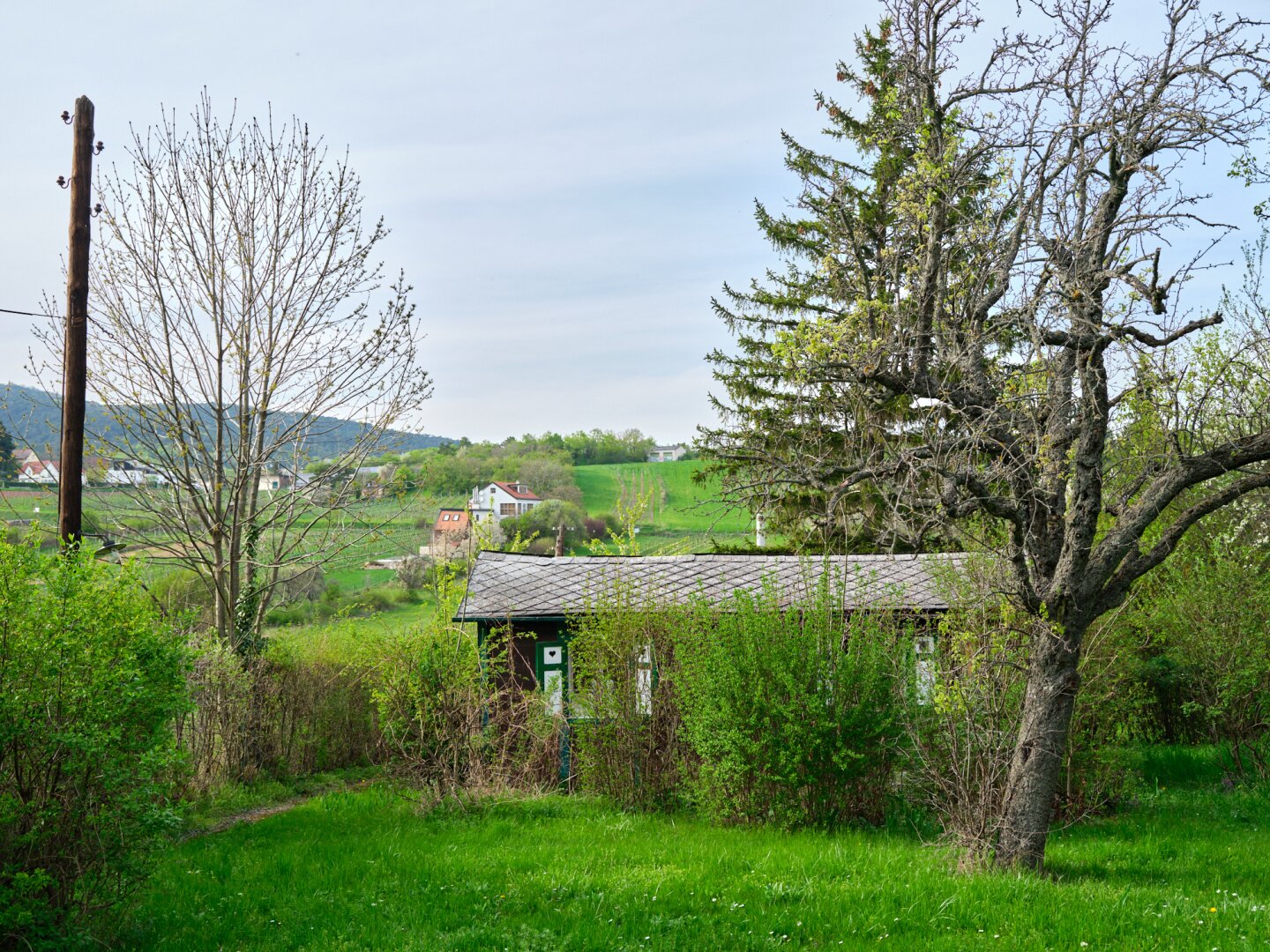 TRAUMHAFTES GRUNDSTÜCK MIT HANGLAGE UND BLICK AUF DIE WEINBERGE