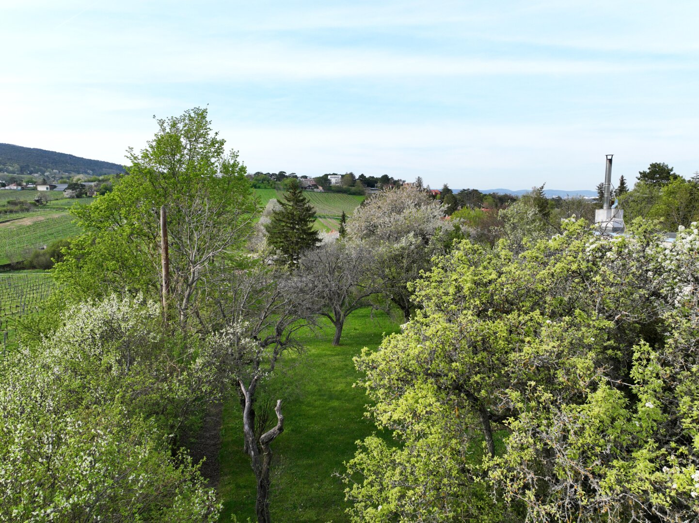 TRAUMHAFTES GRUNDSTÜCK MIT HANGLAGE UND BLICK AUF DIE WEINBERGE