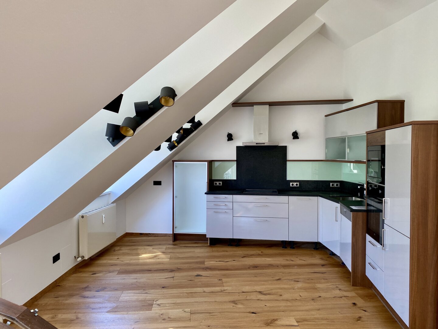 über den Dächern - coole 2 Zimmer-Loft in Zentrumslage