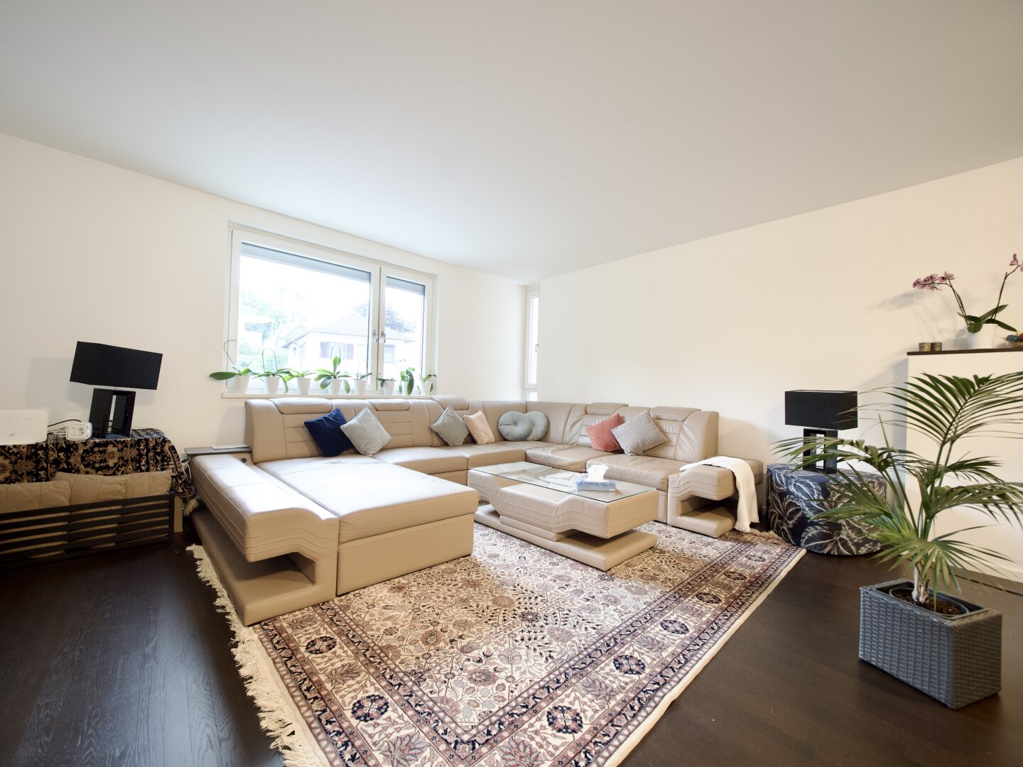 Neustift am Walde - Großzügige Vier-Zimmer Terrassenwohnung inklusive zweier Tiefgaragenplätze