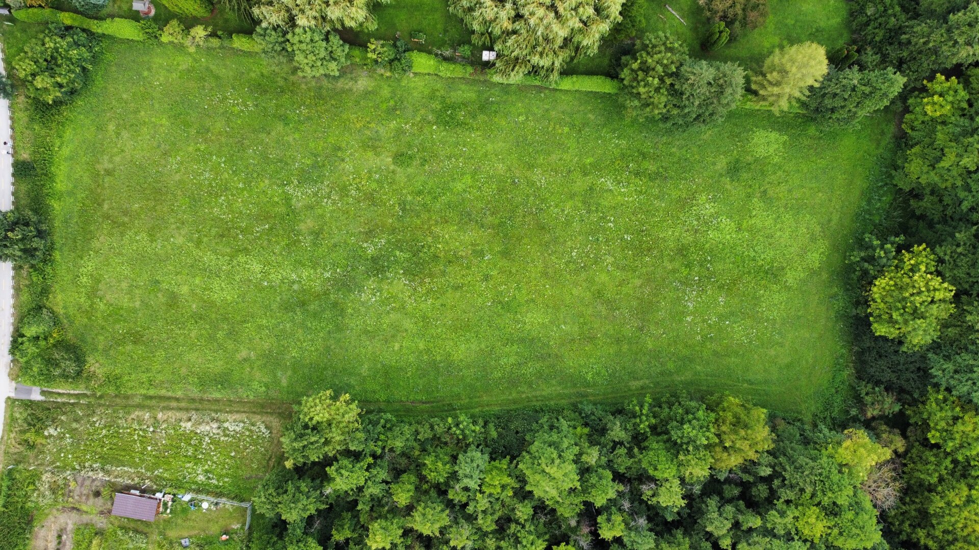 Nationalpark Neusiedler See - Beeindruckendes Grundstück mit ca. 5.825 m² in Top Lage / Randlage