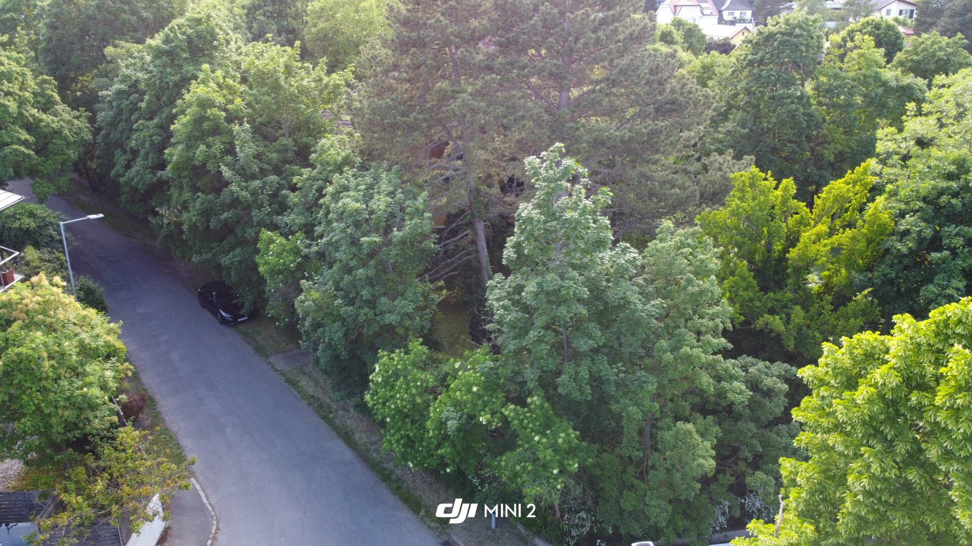 Wohnen in exklusiver Lage? Hier sind Sie richtig - Villenviertel direkt in Perchtoldsdorf - absolute Ruhelage