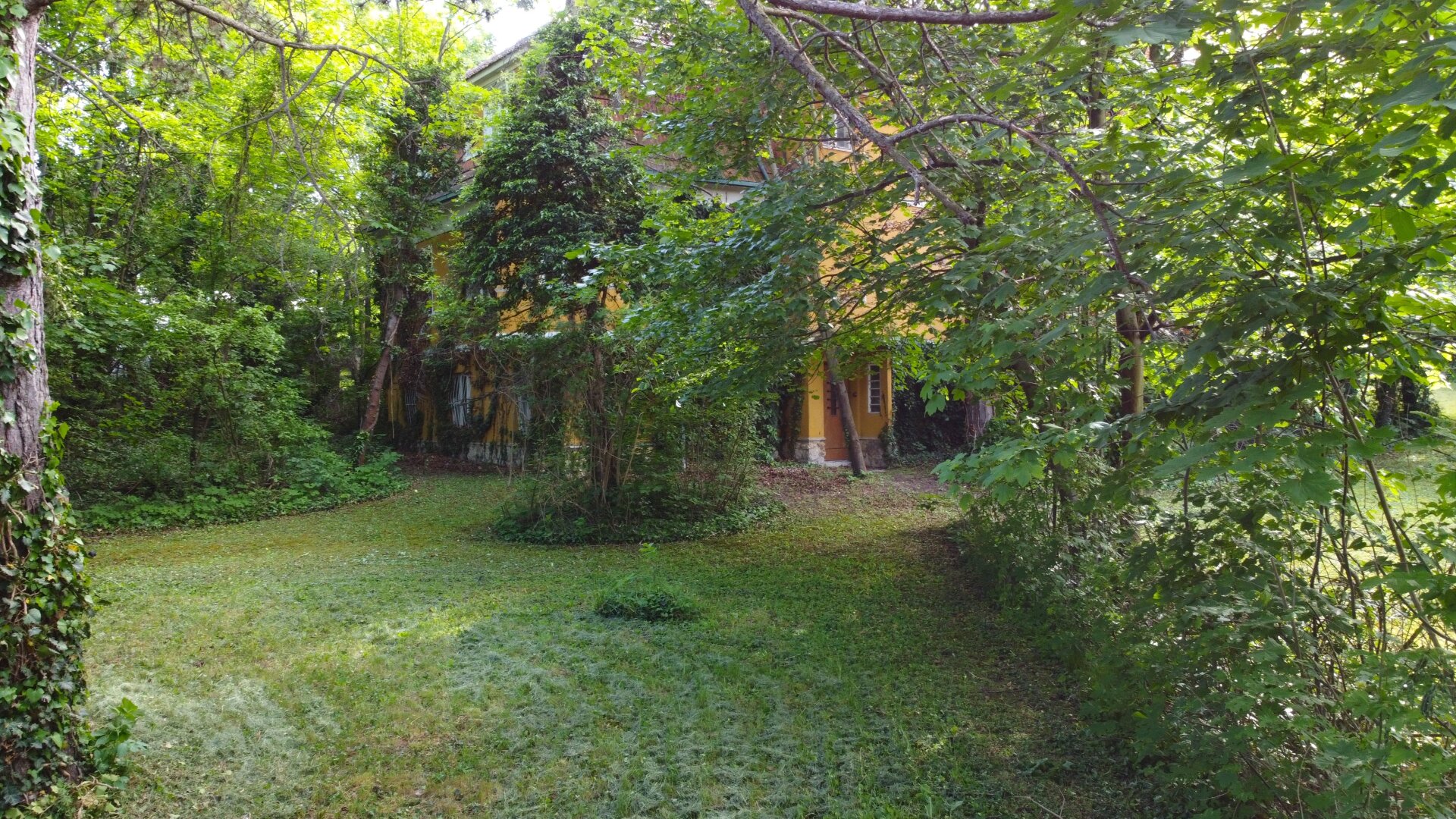 Wohnen in exklusiver Lage? Hier sind Sie richtig - Villenviertel direkt in Perchtoldsdorf - absolute Ruhelage