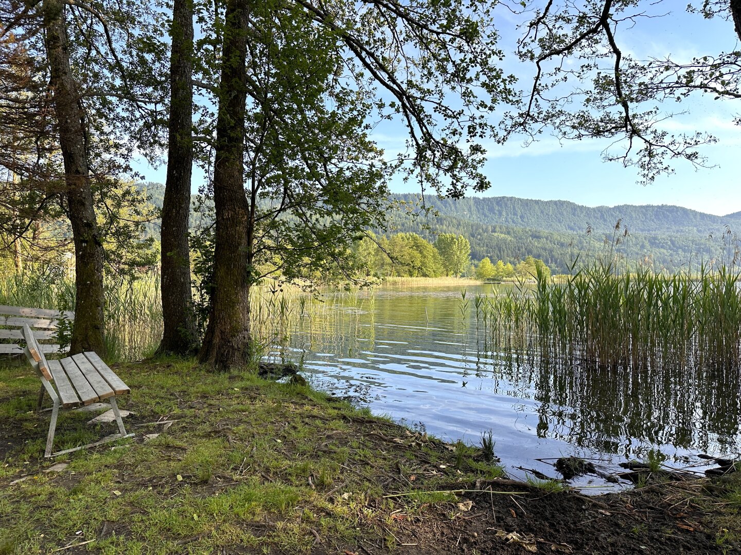 Sommerhäuschen "ERIKA" am Keutschacher See - 10 Gehminuten vom See entfernt - 1000 m² Baugrund