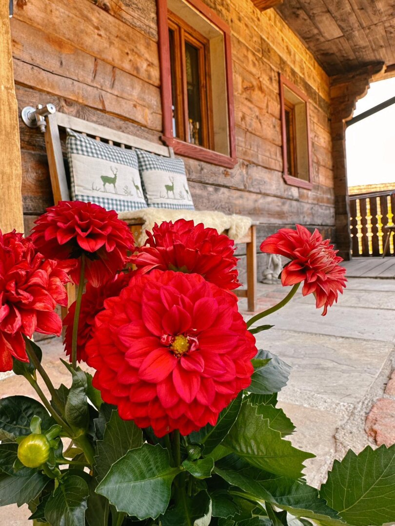 Exklusives Chalet in sonniger Ruhelage mit privatem Wellnessbereich