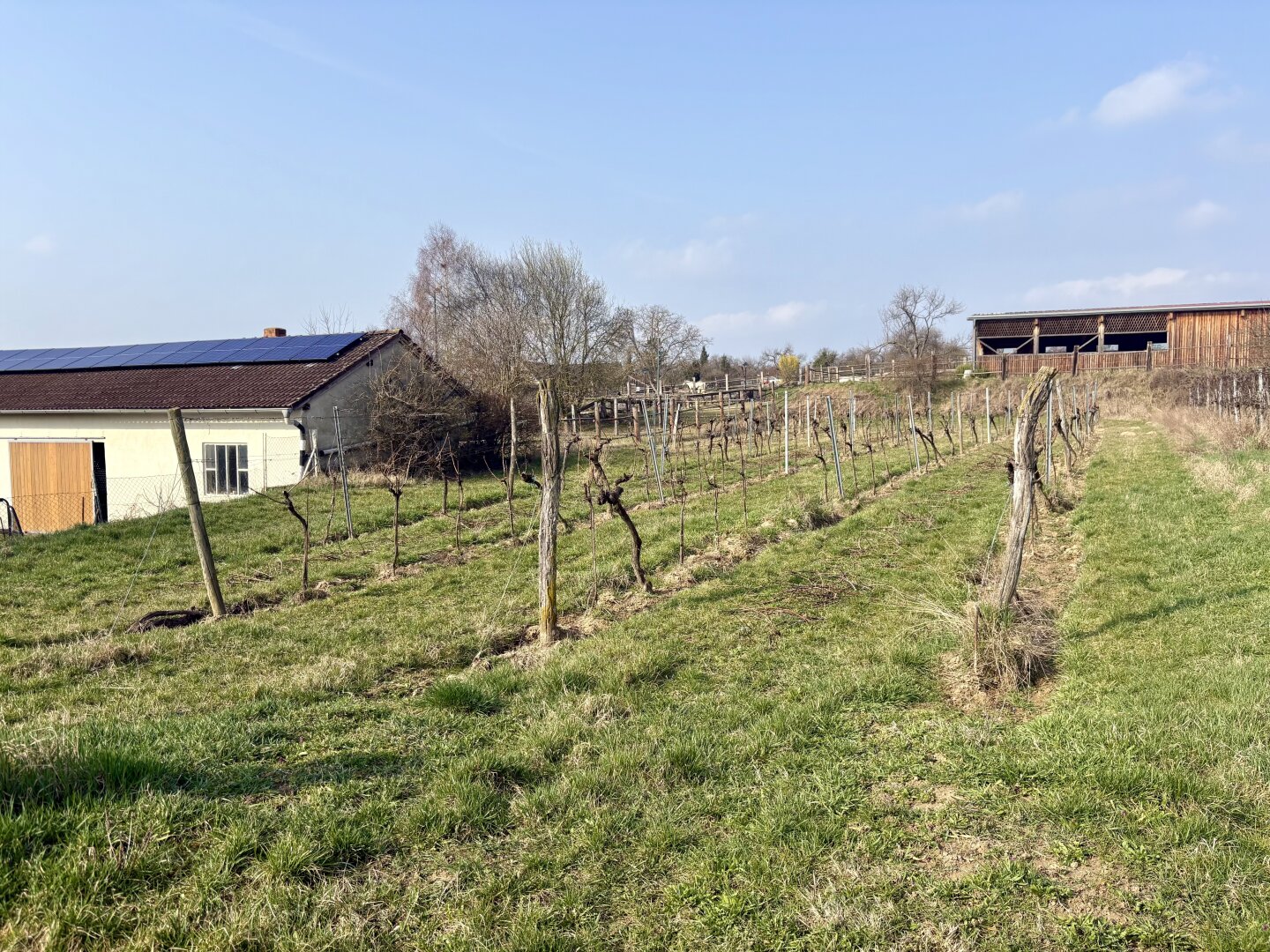 Historischer Weinkeller mit eigenem Weingarten im Kamptal