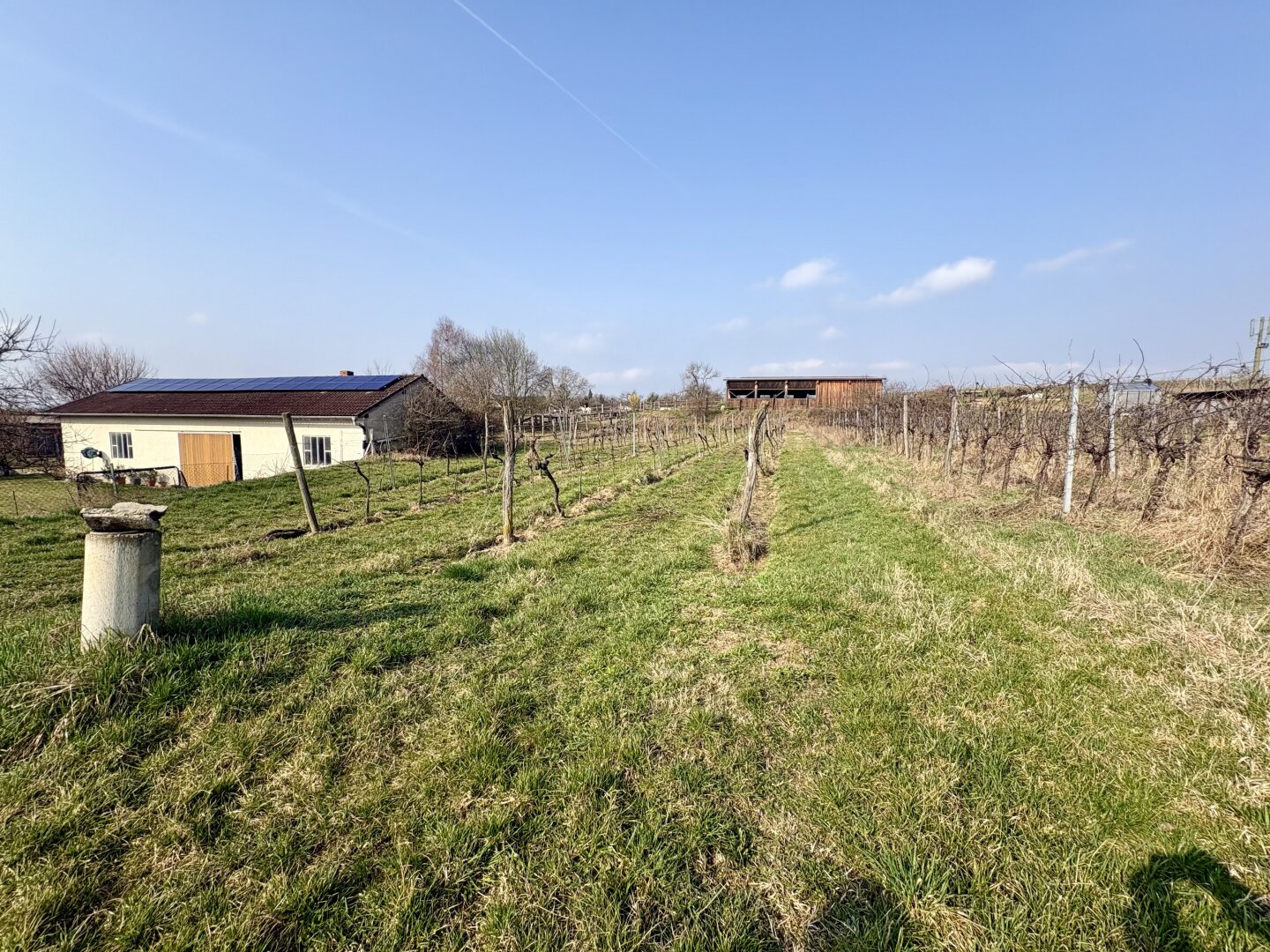 Historischer Weinkeller mit eigenem Weingarten im Kamptal