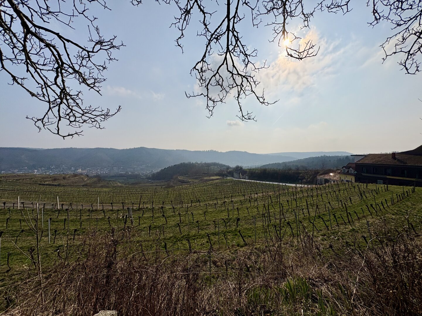 Historischer Weinkeller mit eigenem Weingarten im Kamptal