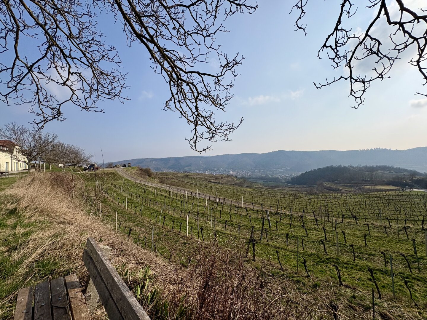 Historischer Weinkeller mit eigenem Weingarten im Kamptal