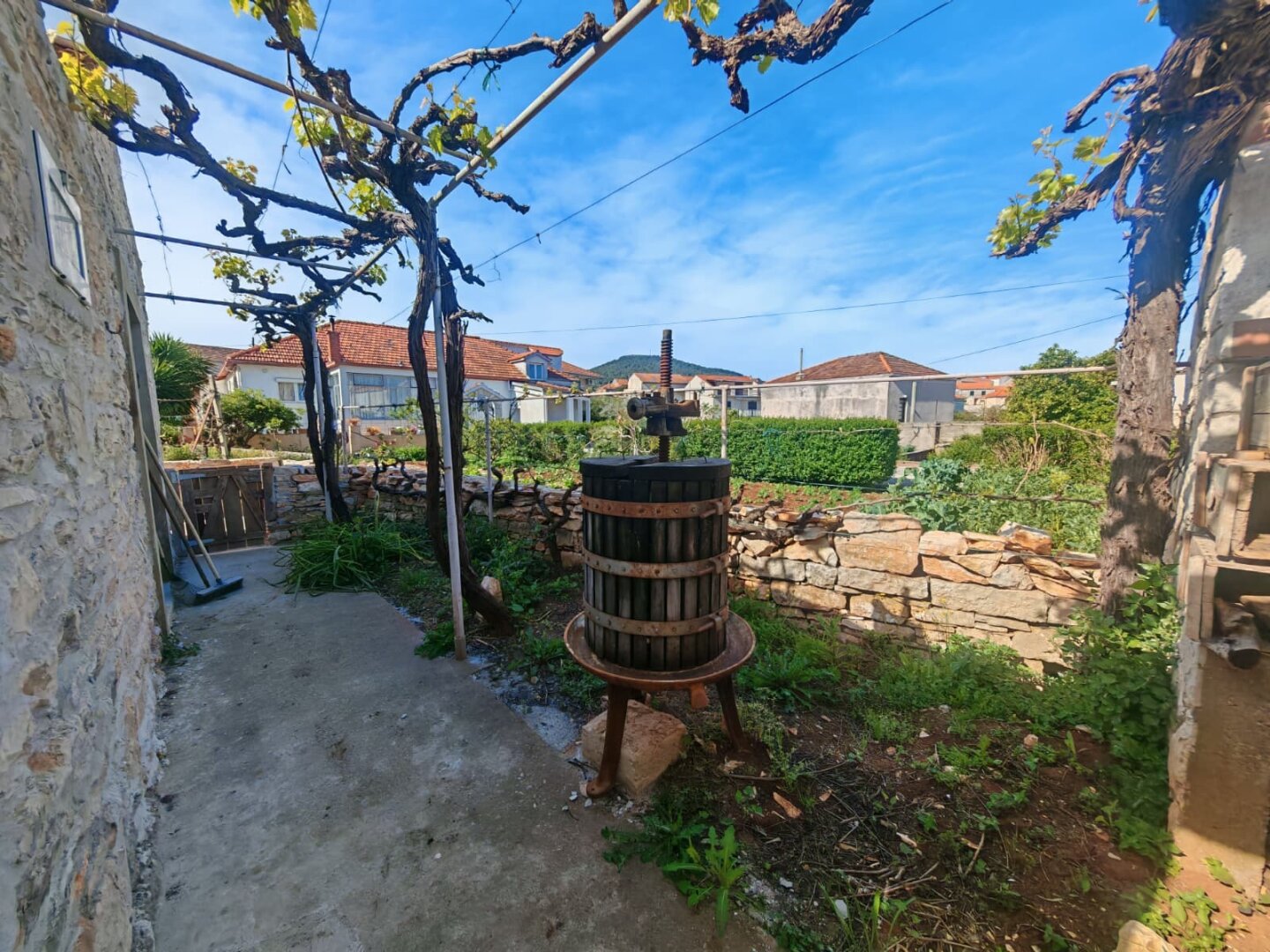 Mediterranes Selbstversorgungsanwesen – Haupthaus + 2 Apartments + Olivenhain | Vela Luka, Korčula