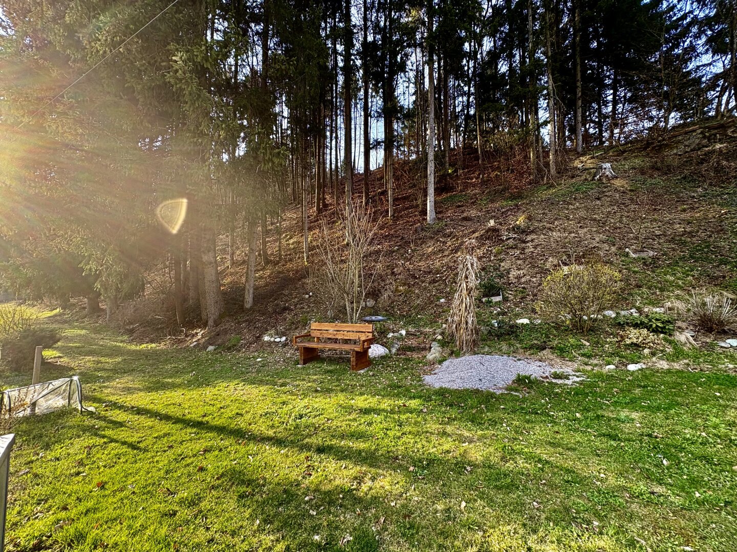 Saniertes Landhaus mit Wiesen, Wald & eigenem Brunnen | 178 m² | 7.154 m² lastenfrei | Gloxwald, OÖ