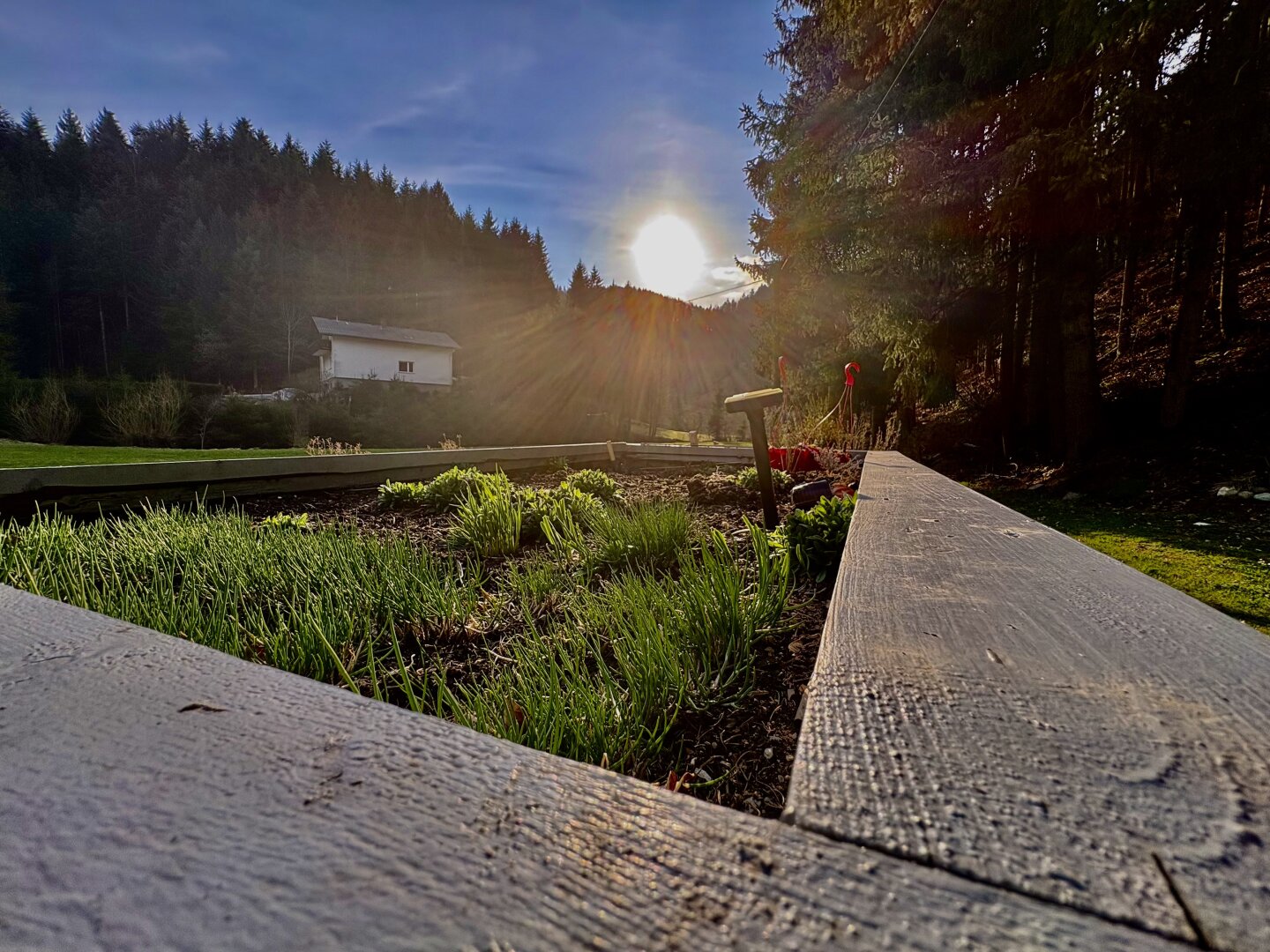Saniertes Landhaus mit Wiesen, Wald & eigenem Brunnen | 178 m² | 7.154 m² lastenfrei | Gloxwald, OÖ