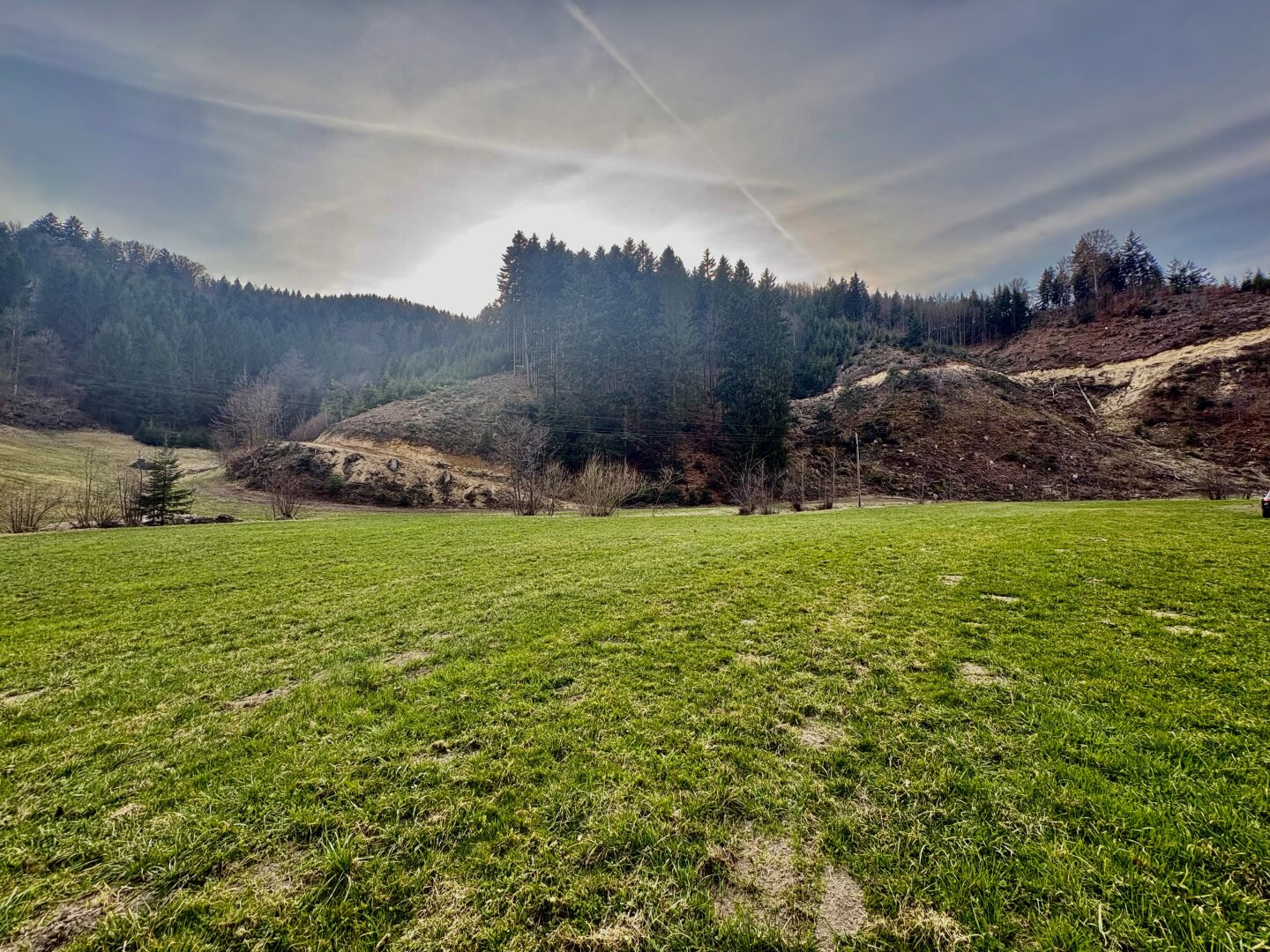 Saniertes Landhaus mit Wiesen, Wald & eigenem Brunnen | 178 m² | 7.154 m² lastenfrei | Gloxwald, OÖ