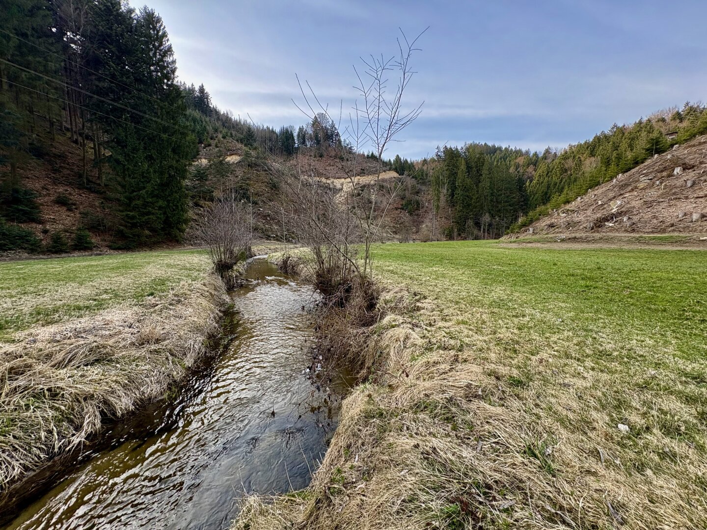Saniertes Landhaus mit Wiesen, Wald & eigenem Brunnen | 178 m² | 7.154 m² lastenfrei | Gloxwald, OÖ