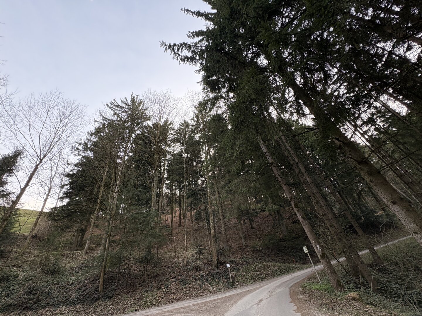 Saniertes Landhaus mit Wiesen, Wald & eigenem Brunnen | 178 m² | 7.154 m² lastenfrei | Gloxwald, OÖ