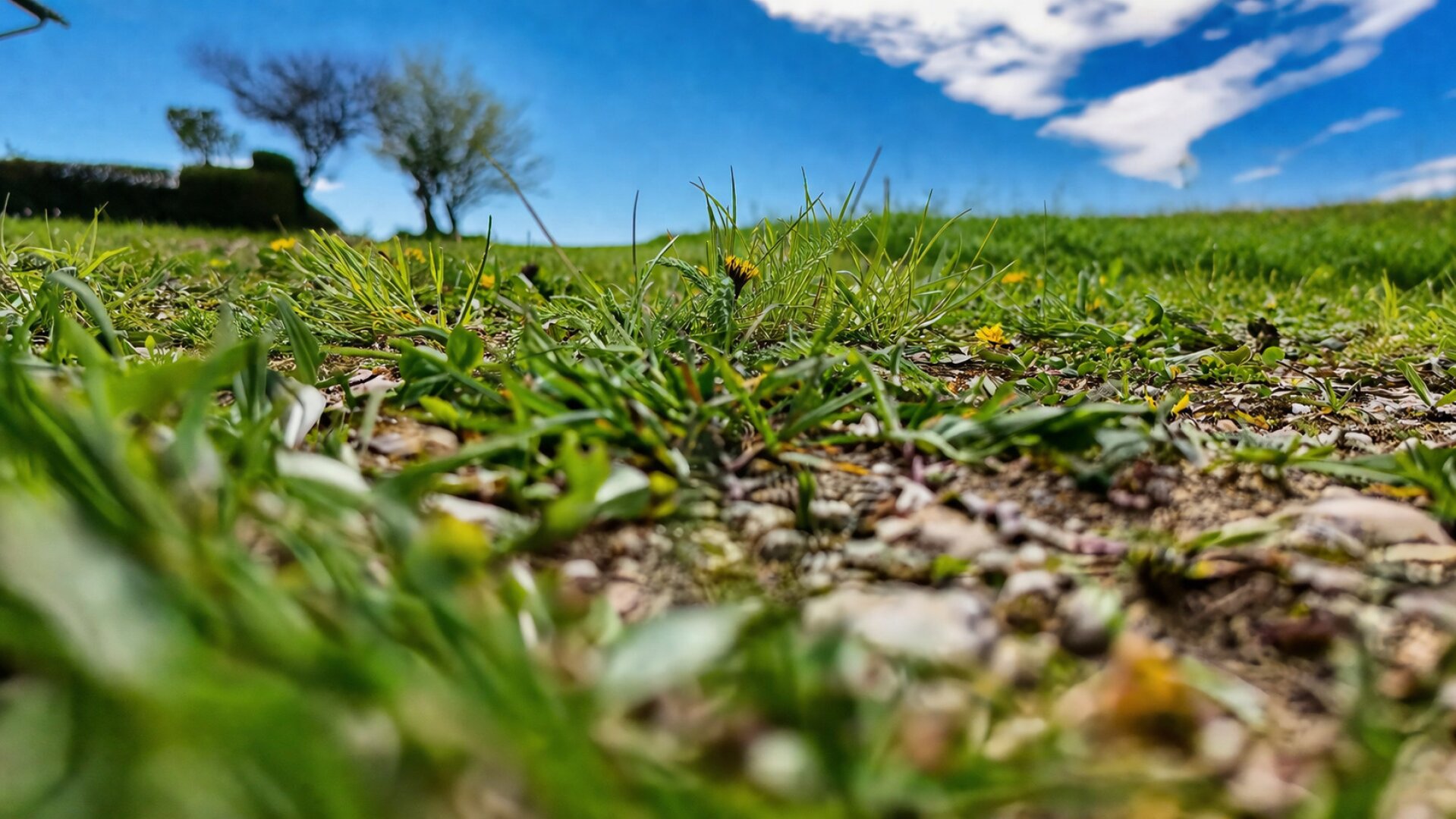 Ihr Traumgrund in Schalchen - Ruhelage