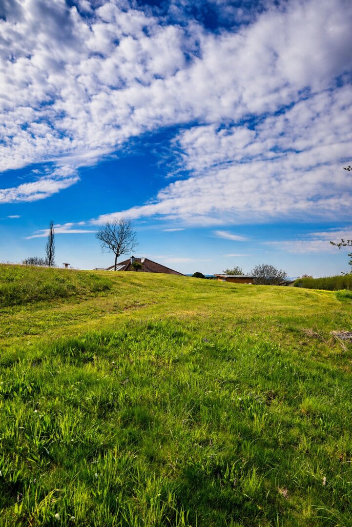 Ihr Traumgrund in Schalchen - Ruhelage