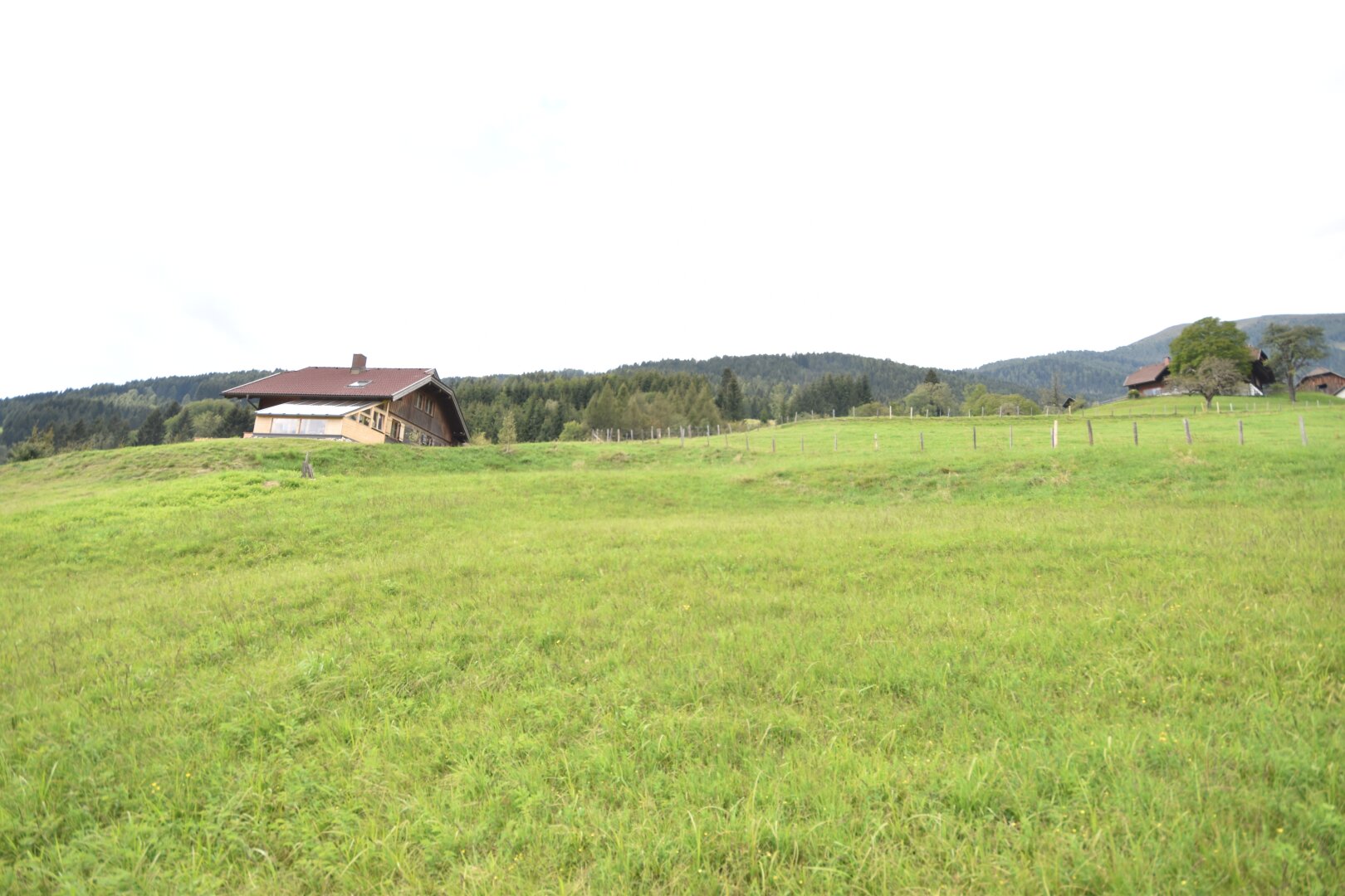 Landwirtschaftlich genutztes Grünland Kauf Arriach Kärnten
