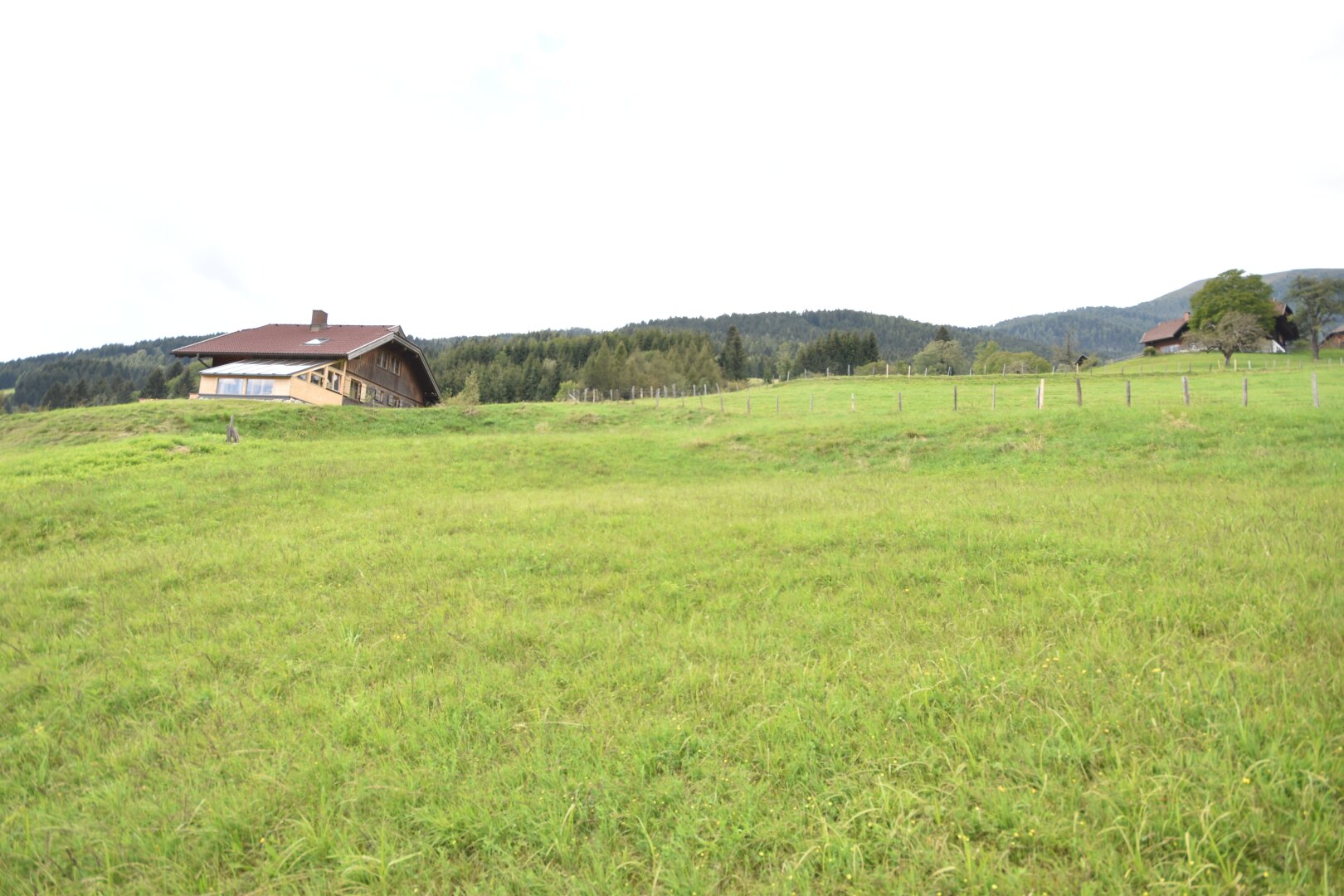 Landwirtschaftlich genutztes Grünland Kauf Arriach Kärnten