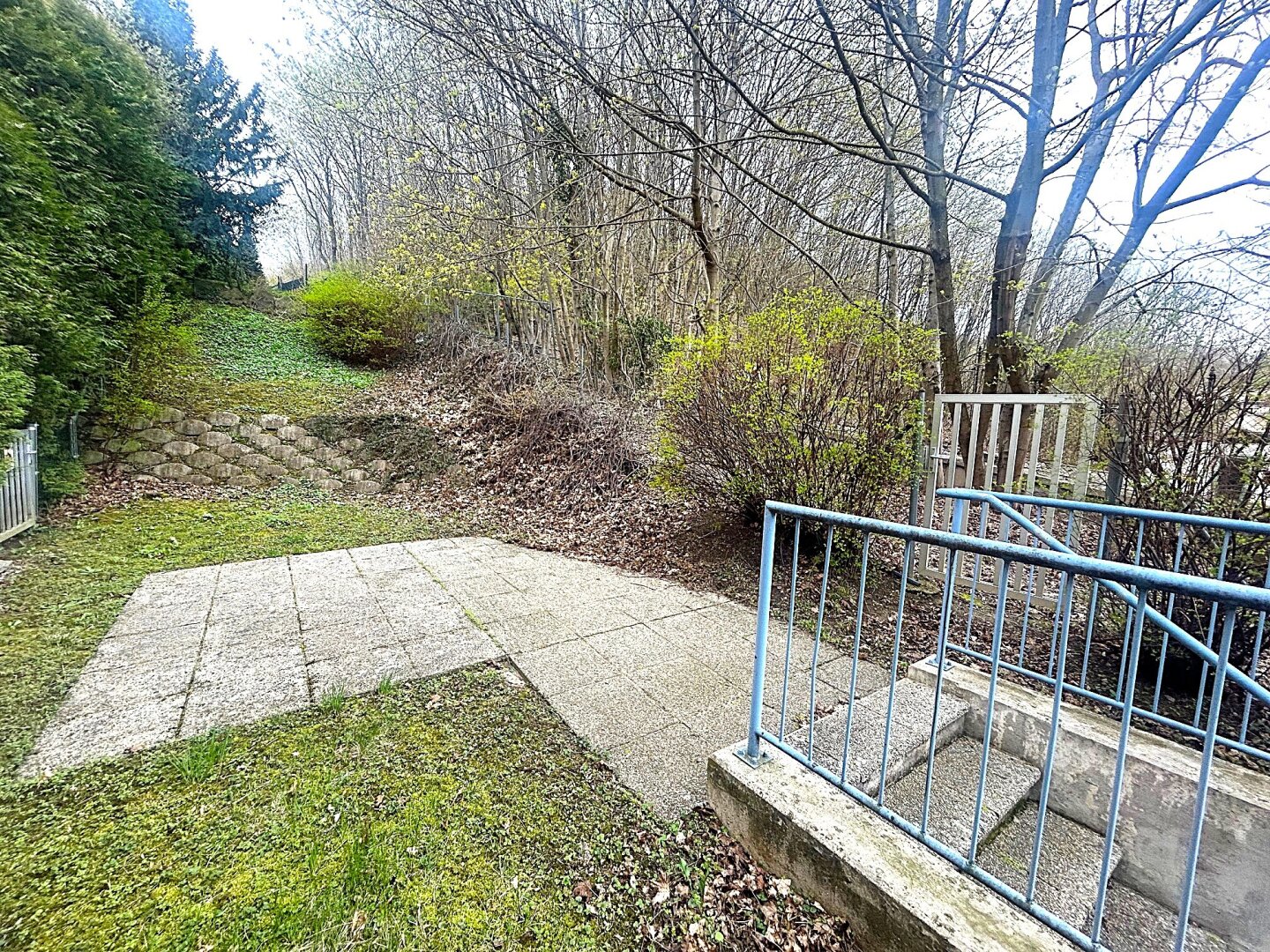 Gemeinschaftsgarten
