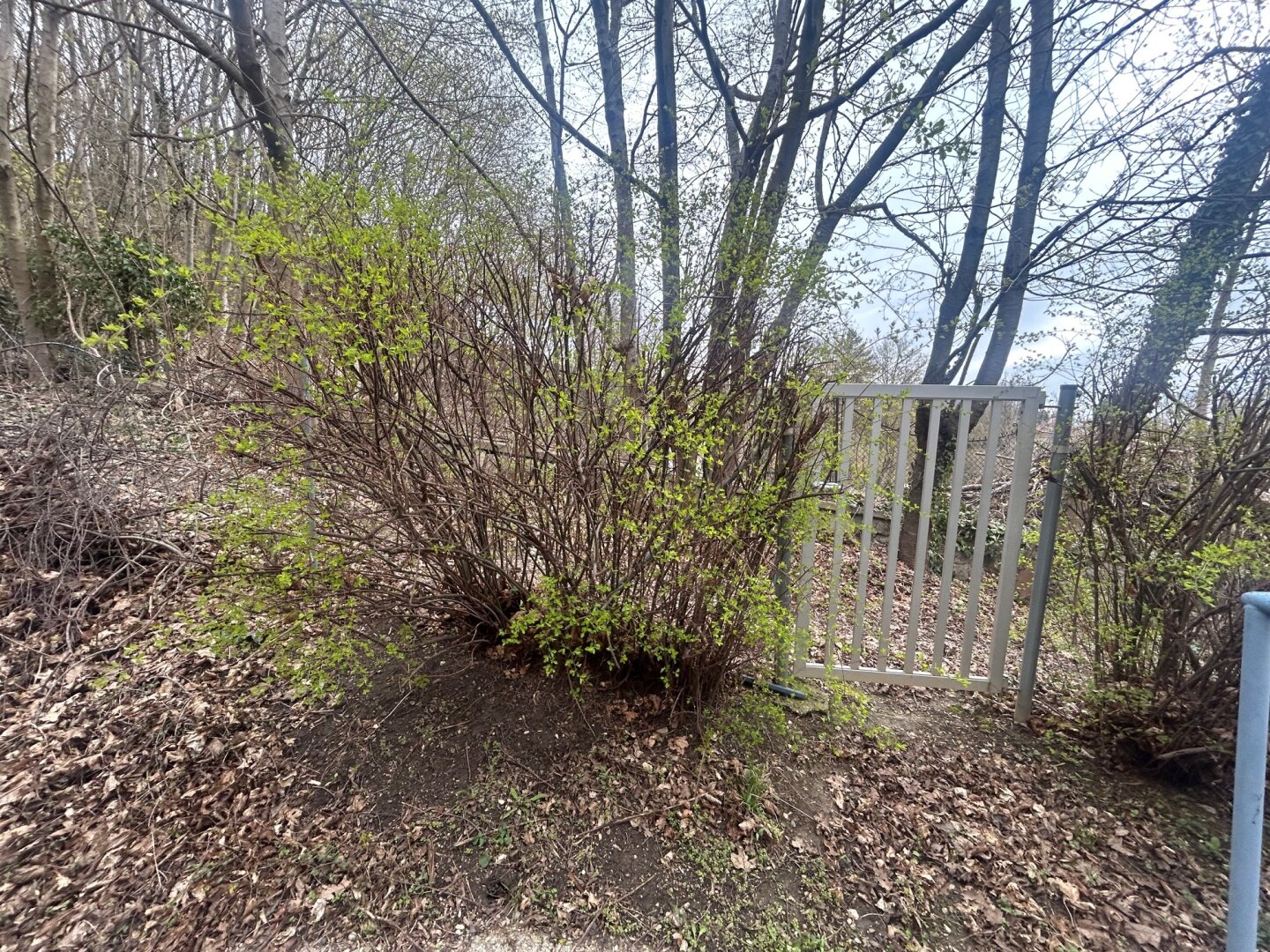 Tür zur Perchtoldsdorfer Heide