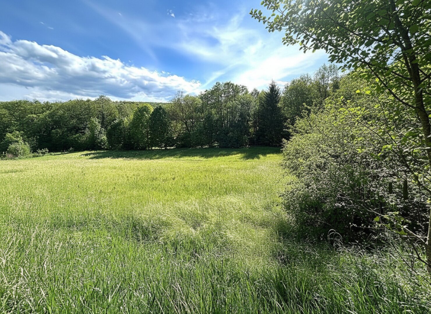 Ebener Grund