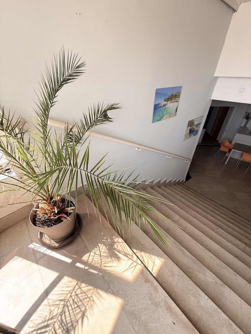 Hotel in Top Lage von Pula zu verkaufen