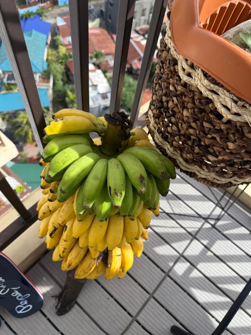 Schöne Wohnung als Kapitalanlage in Lapu-Lapu City zu verkaufen – mit Pool, Fitnessraum & sensationellem Meerblick
