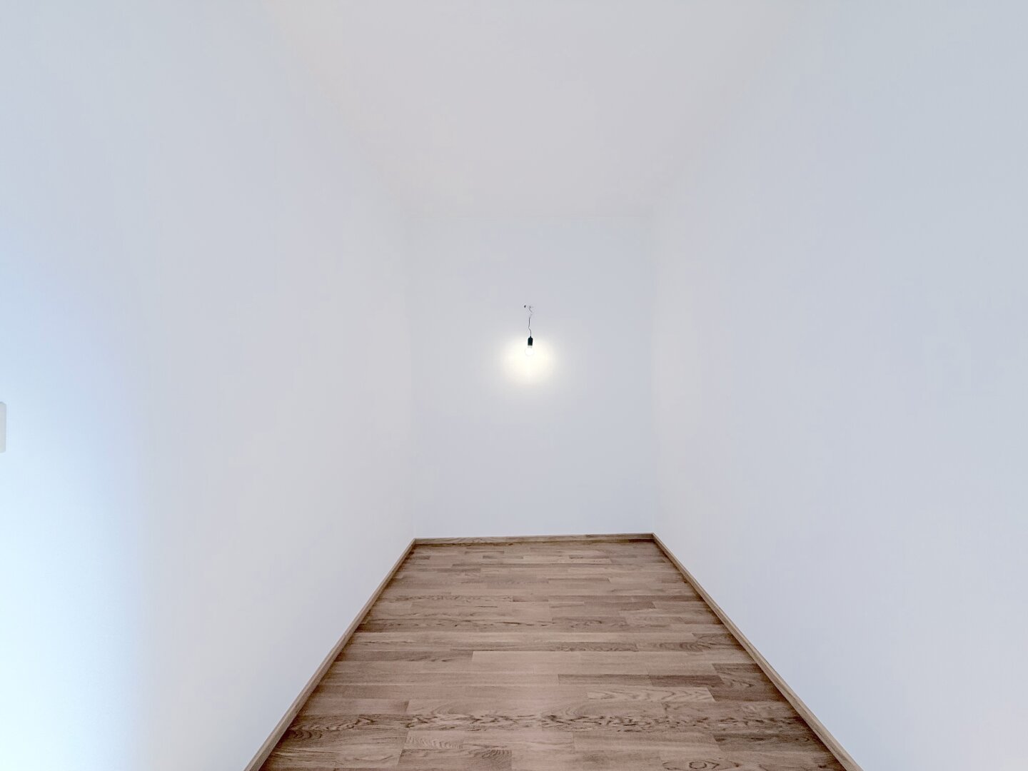 Traumhafte DG-Wohnung in 1060 Wien: 4 Zimmer und Balkon!