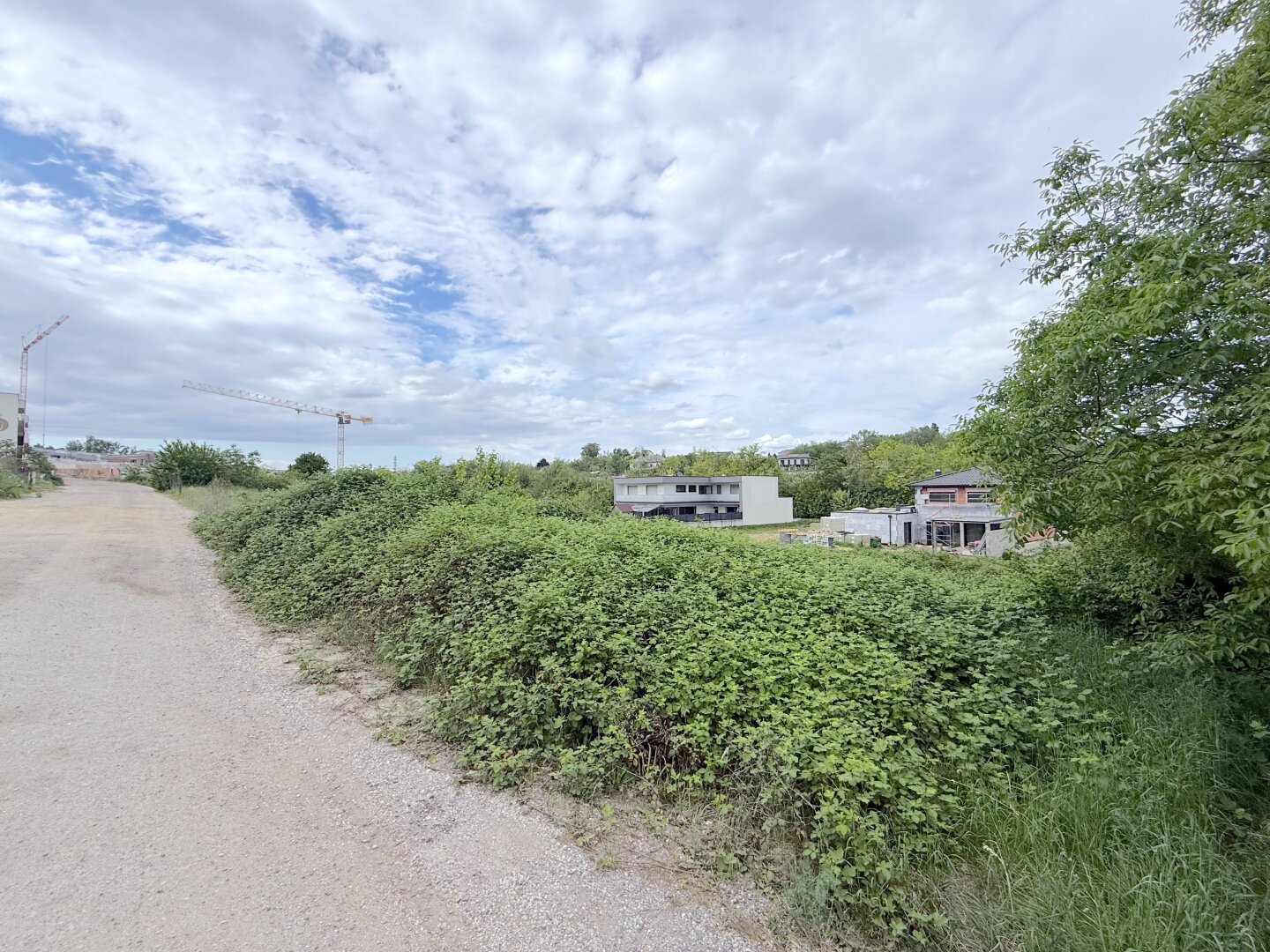 Traum-Baugrund 376m² in Neusiedl am See – Eigenheim verwirklichen zum Top-Preis!