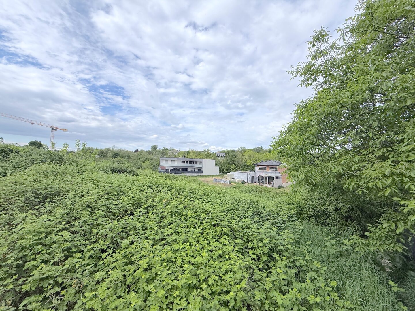 Traum-Baugrund 376m² in Neusiedl am See – Eigenheim verwirklichen zum Top-Preis!