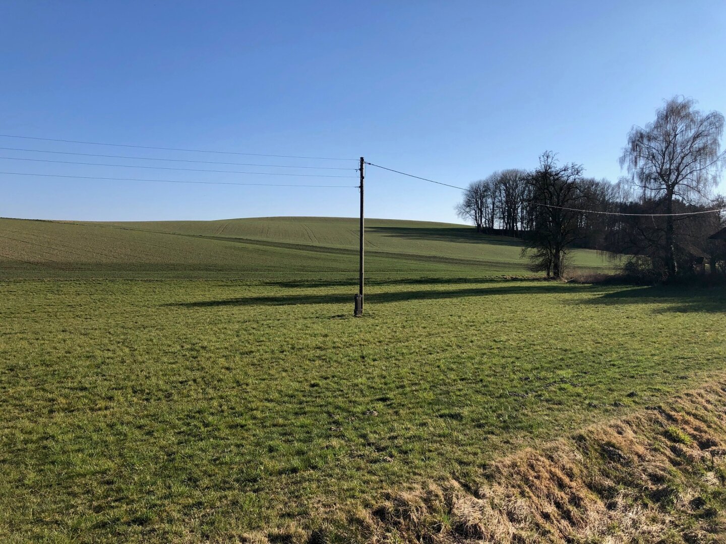 landwirtschaftliche Nutzfläche, Ackerfläche in Renetsham nahe Ried im Innkreis zu verkaufen