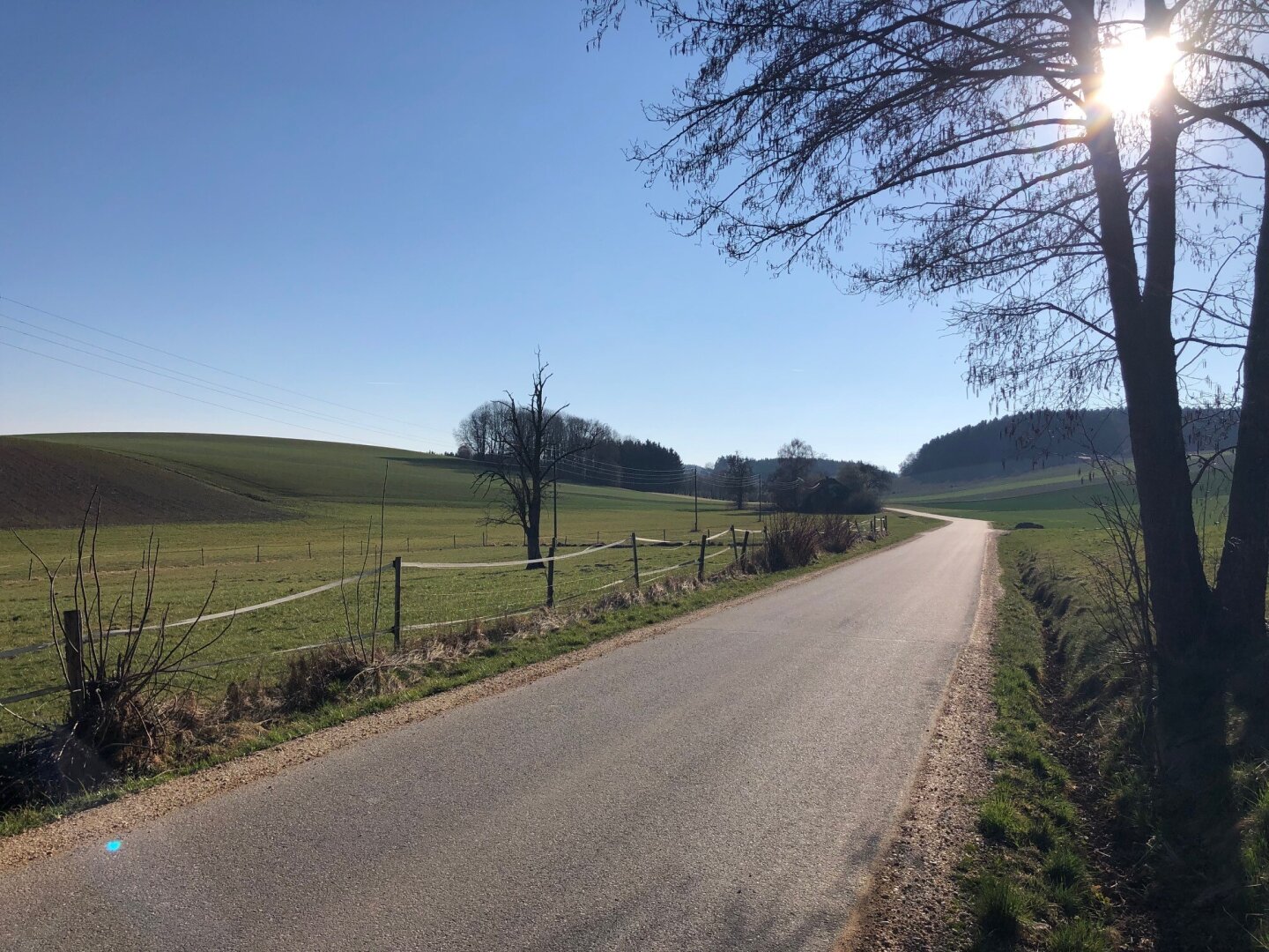 landwirtschaftliche Nutzfläche, Ackerfläche in Renetsham nahe Ried im Innkreis zu verkaufen