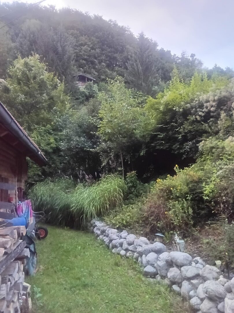 Charmantes Häuschen in Weyer: ca. 41 m² mit Garten, Terrasse und Seeblick – nur € 129.500,--