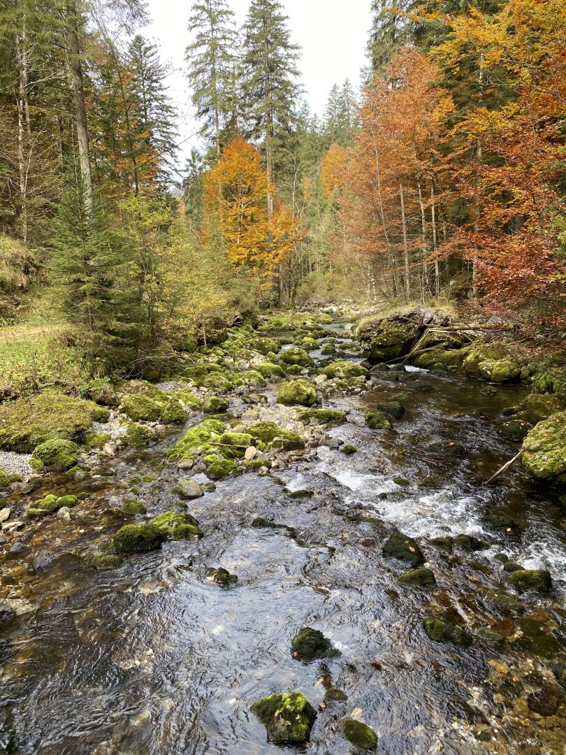 Ihr Traum in absoluter Ruhelage
