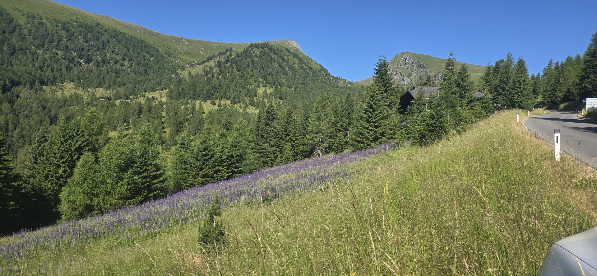 Falkertsee – Grundstück mit baubewilligtem Projekt für 9 Ferienwohnsitze in alpiner Premiumlage