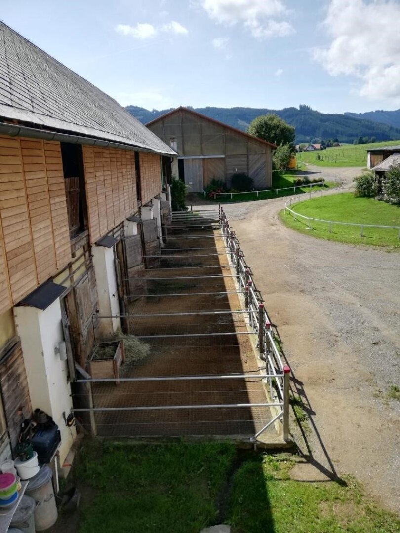 Reiterhof Gut Rosenhof