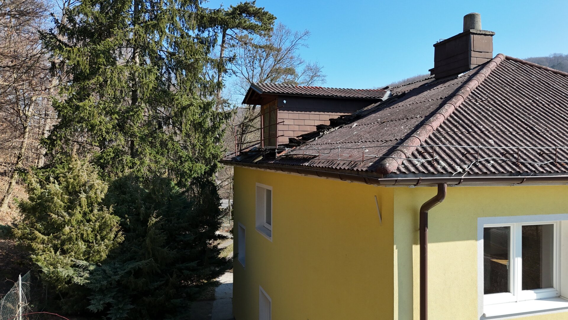 Ihr Haus am Waldrand nahe Wien – Pool, Garten & enormes Potenzial