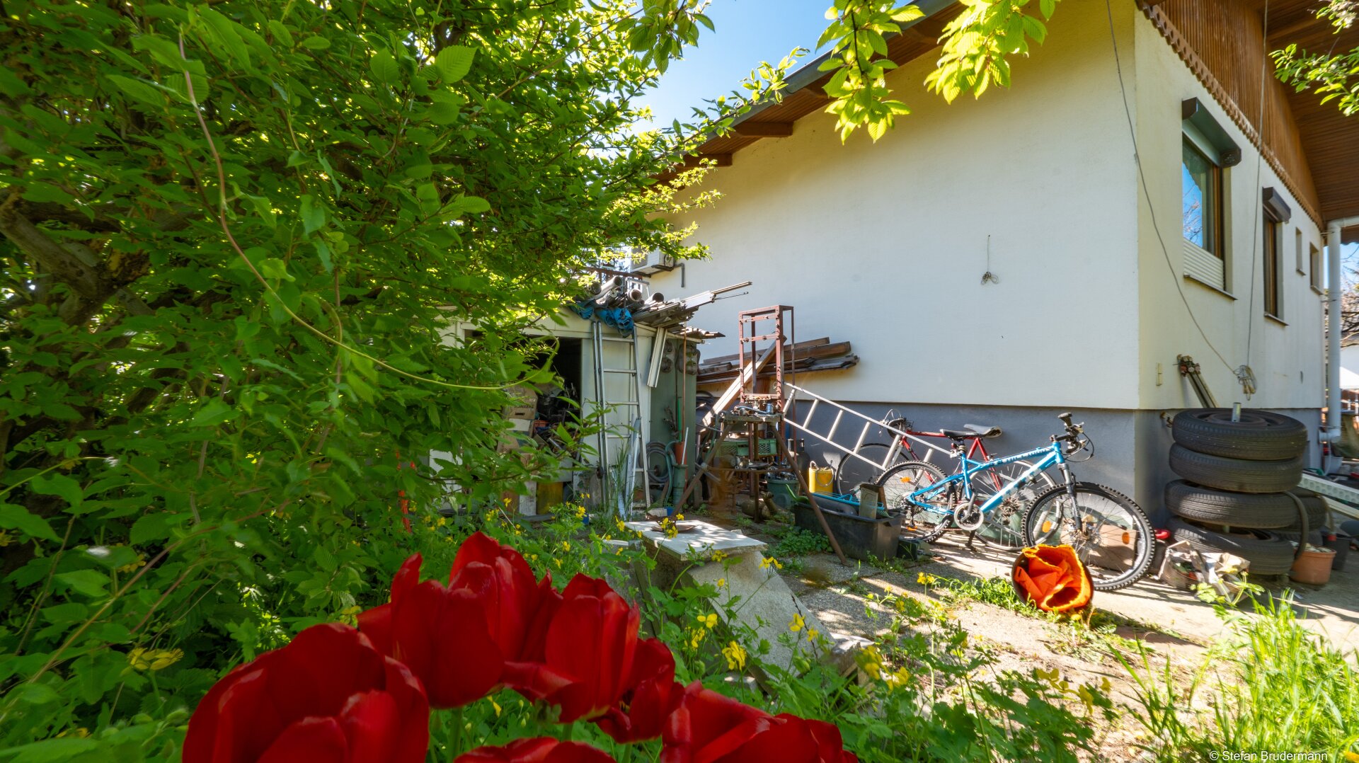 LANGENZERSDORF: Sanierungsbedürftiges Kleingartenhaus mit Pool auf herrlichem Eigengrund nahe Naturbadeteich Seeschlacht in Langenzersdorf – Ganzjähriges Wohnen & Grundstück mit Teilungsoption