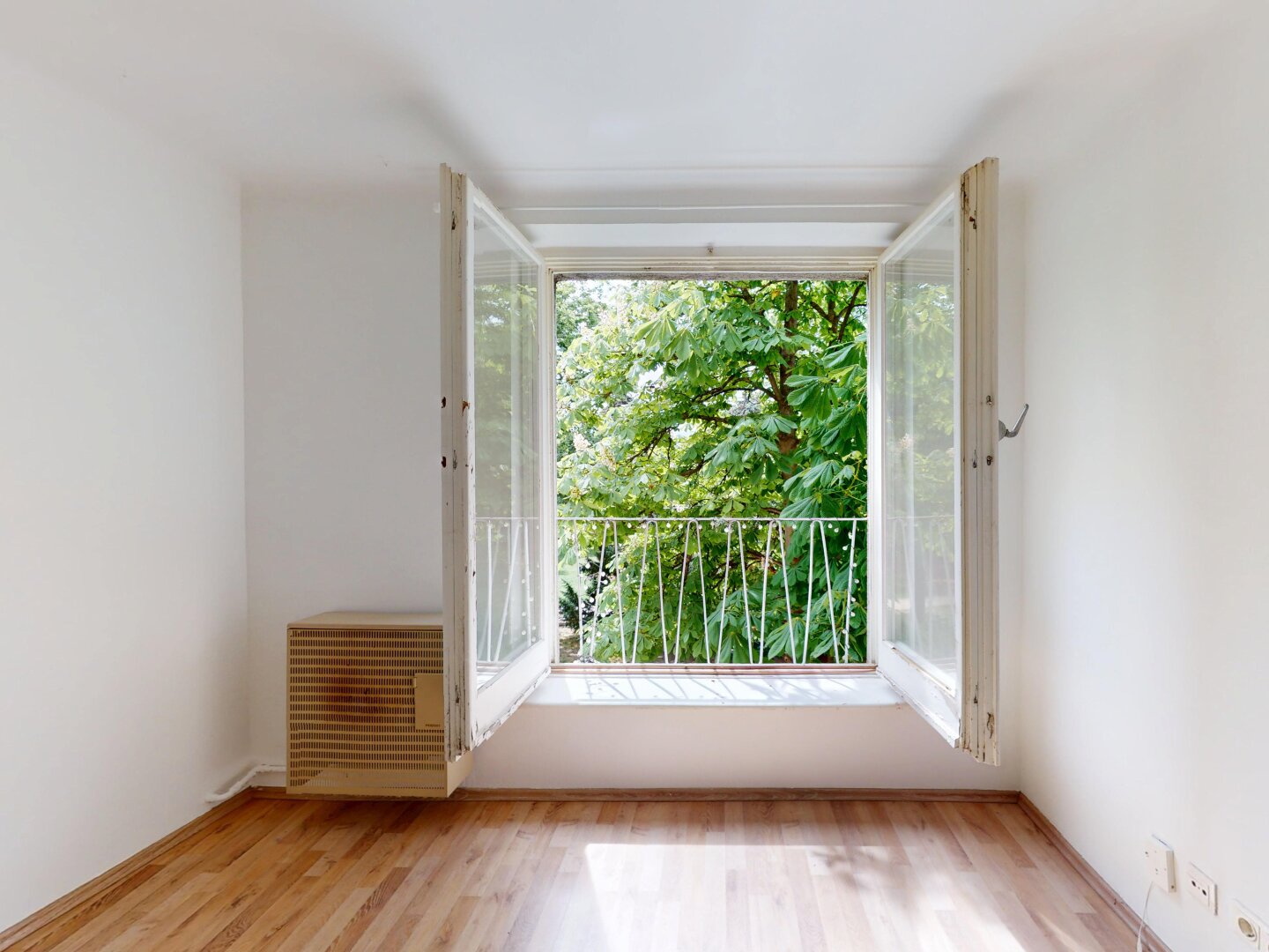 Fensterblick zur Kastanie