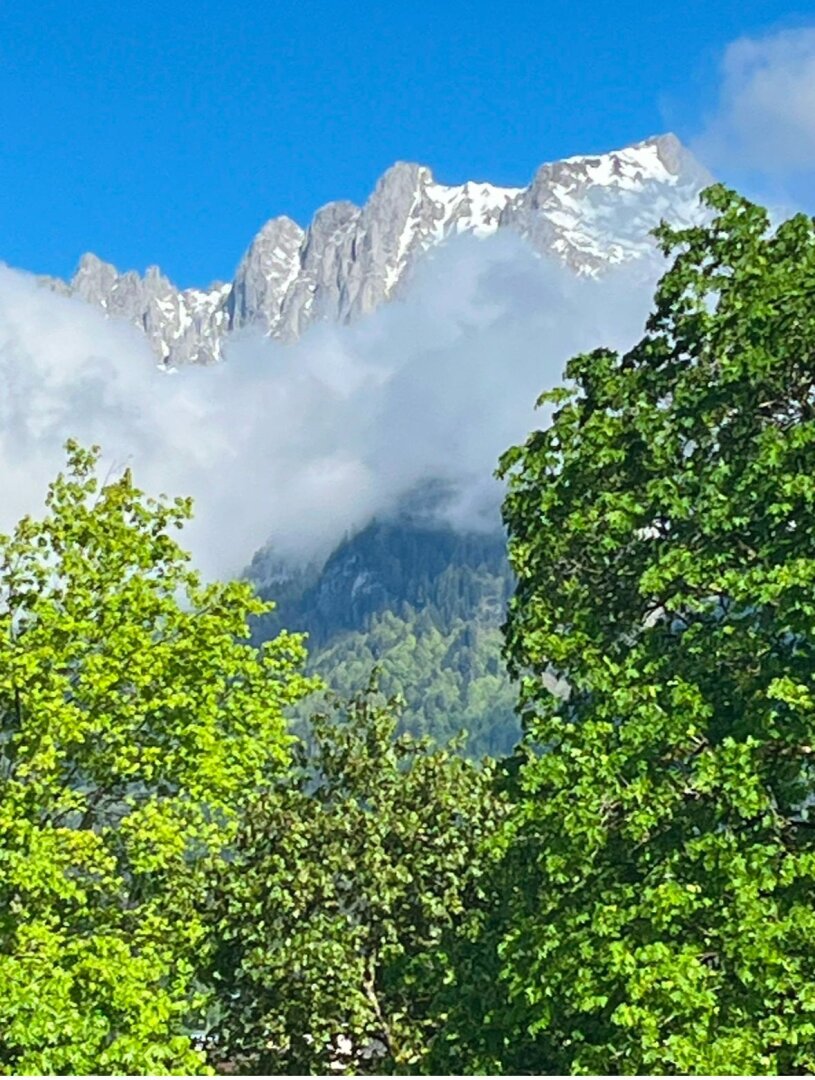 Stilvolle Haushälfte mit traumhafter Aussicht auf den Wilden Kaiser - inkl. 2 Carportplätzen