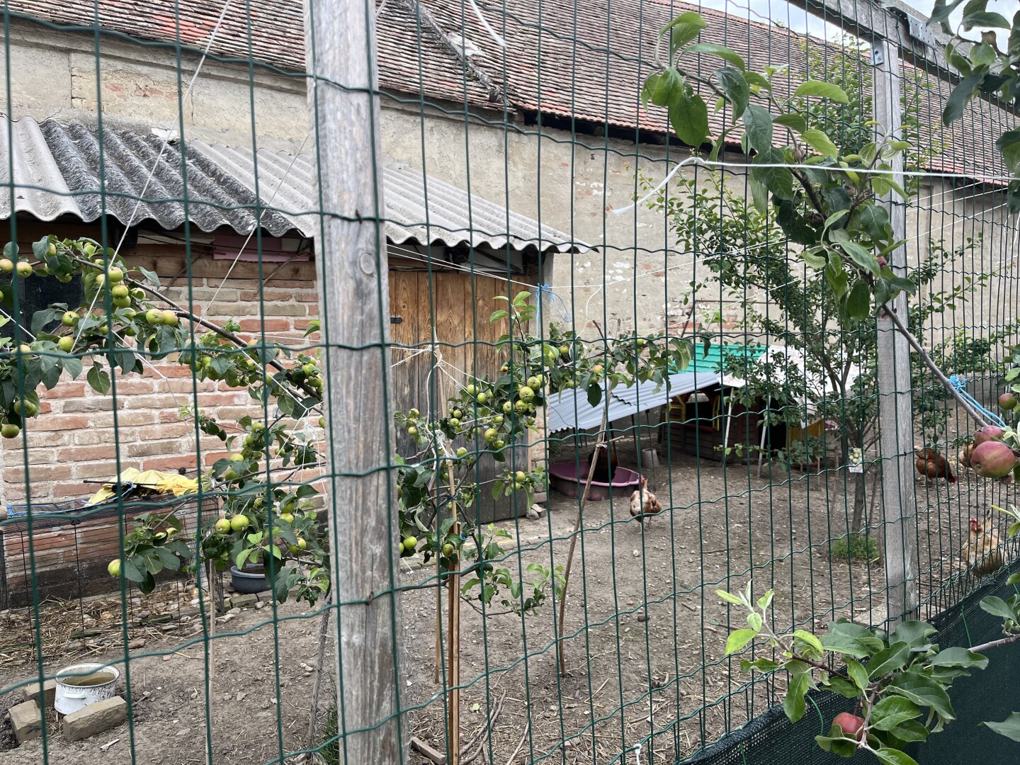 Ruhelage, Klimaanlage, gewaltiger Wohnraum!